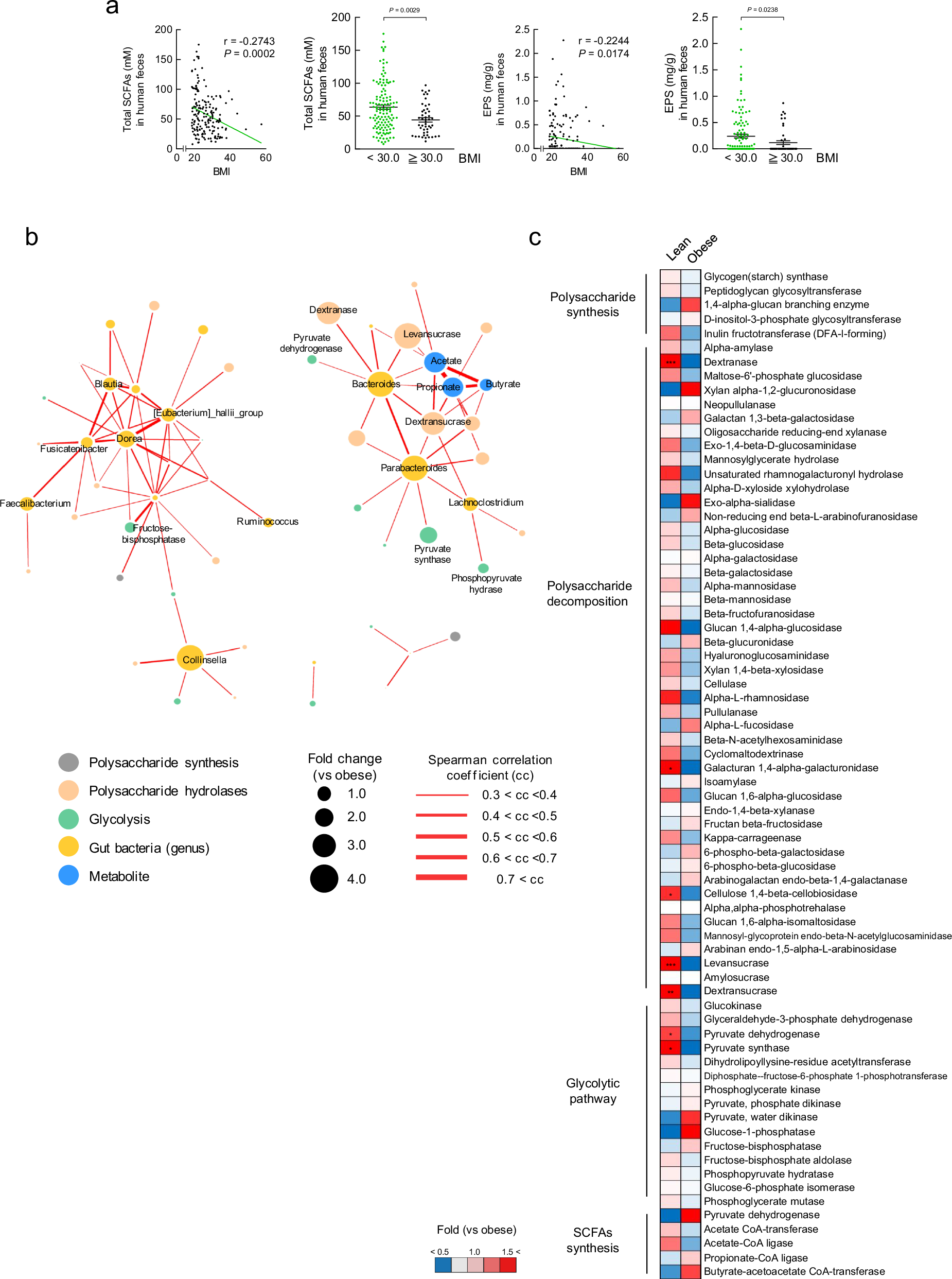 Fig. 2: Gut microbial analysis in human faeces.