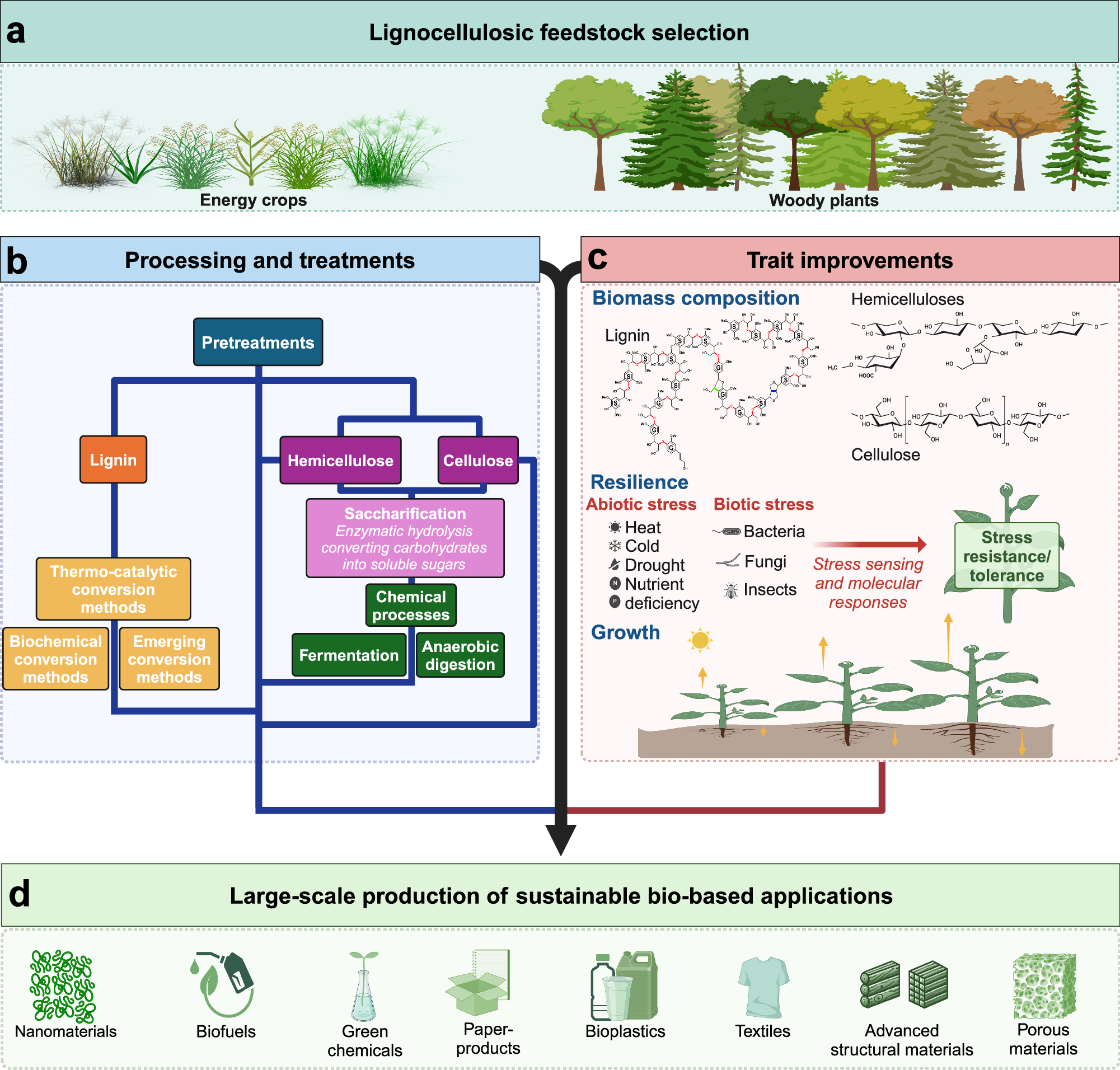 Frontiers A consolidated review of commercial-scale high-value products from lignocellulosic biomass