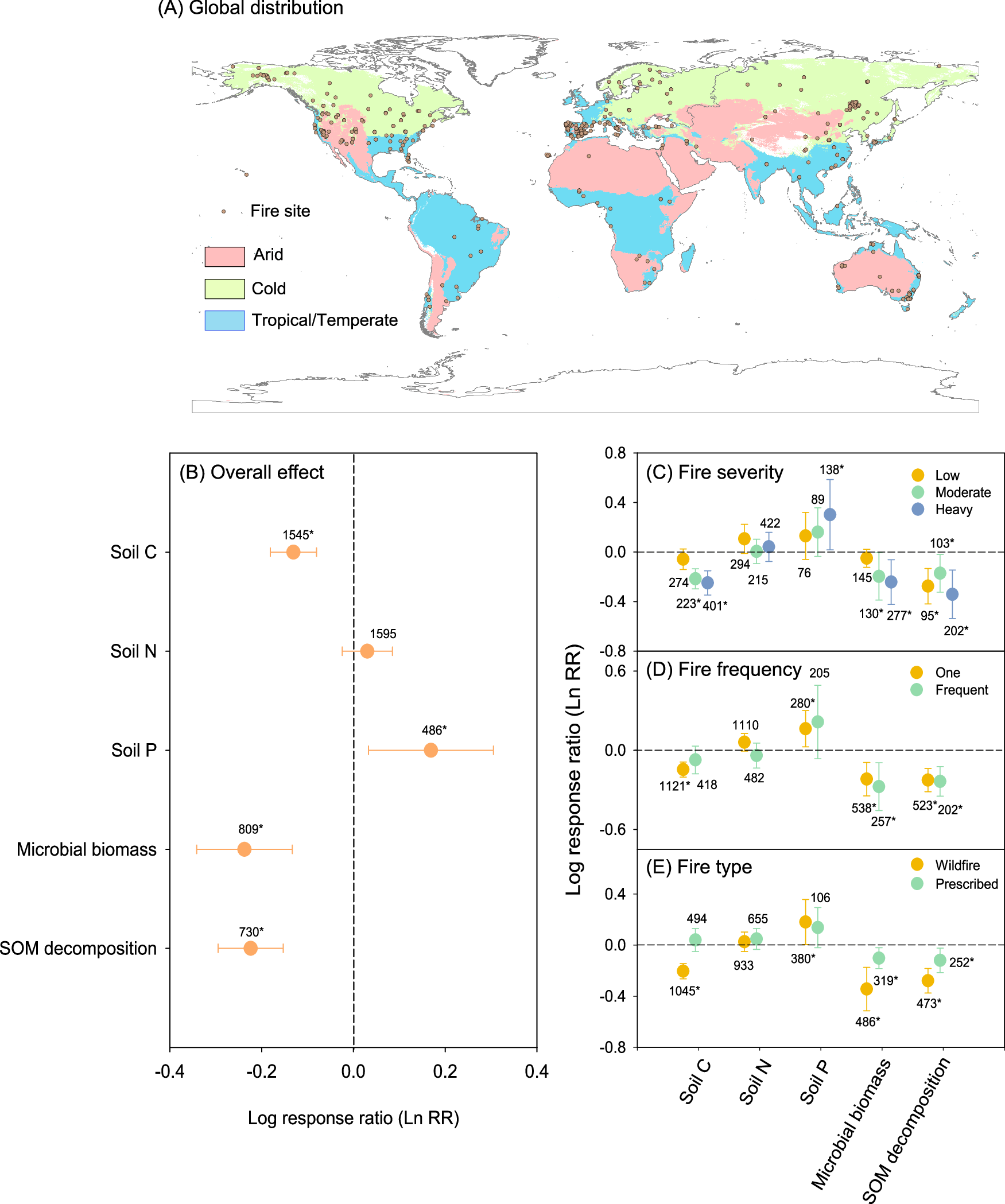 Our CCA Art Students had an exciting day participating in a RAKU firing!  RAKU is a fast-paced Japanese pottery technique where red-hot pieces are  placed into combustible materials, creating dramatic crackles and, image size:1751x2098