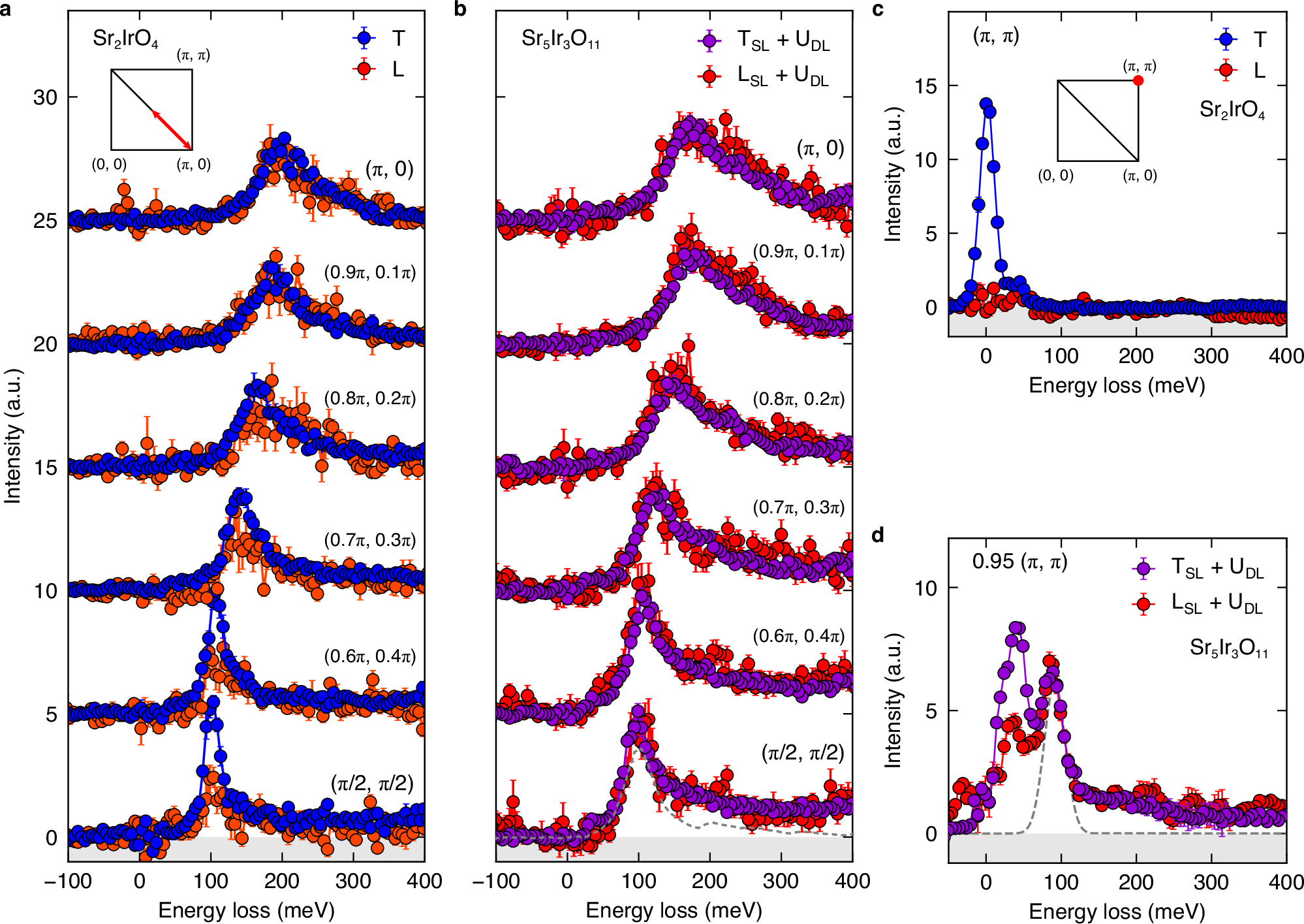 Fig. 3: Absence of magnons in polarization-resolved RIXS spectra.