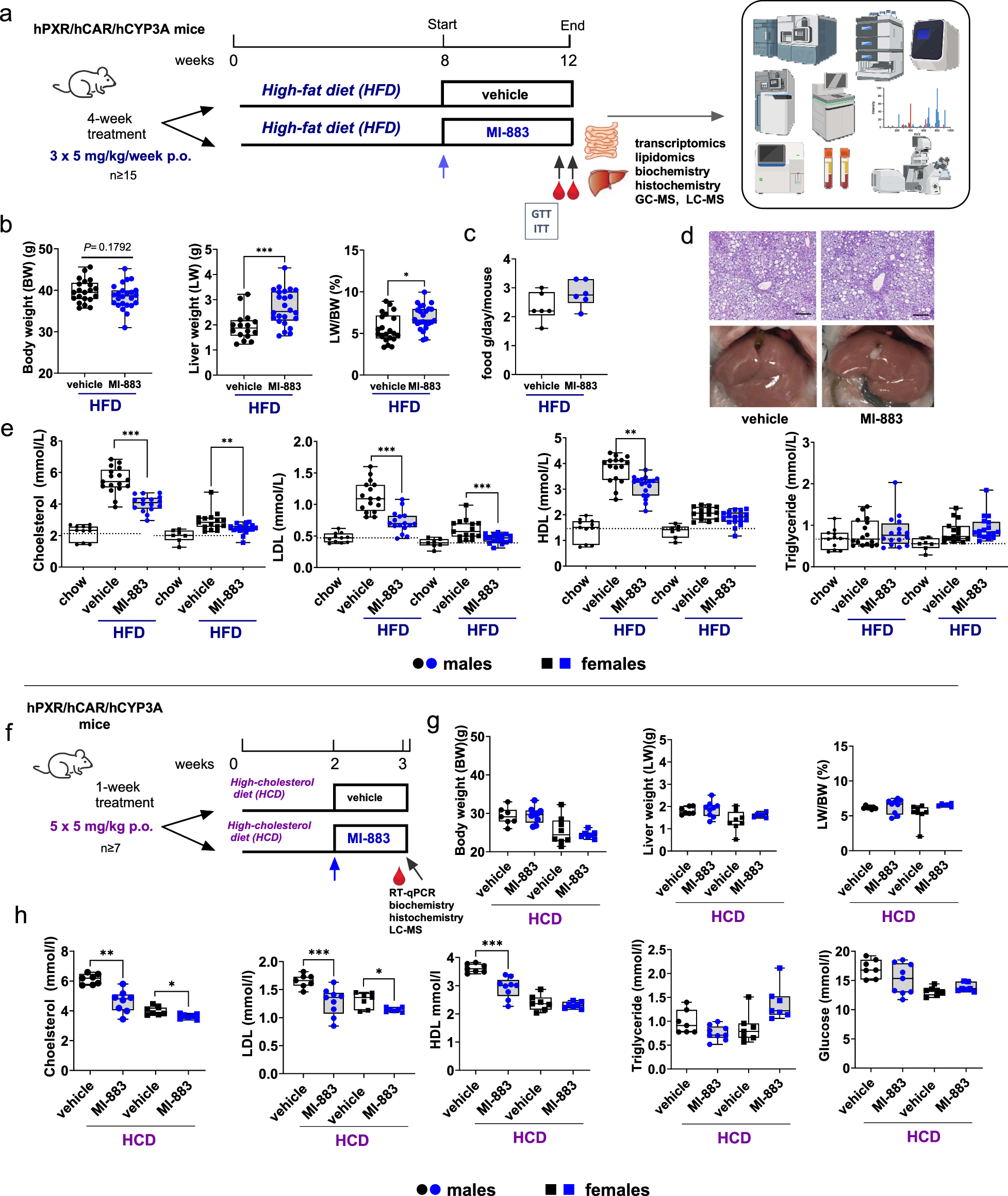 Fig. 4: Metabolic effects of MI-883 in the model of diet-induced hypercholesterolemia with high-fat diet (HFD) or high-cholesterol diet (HCD).