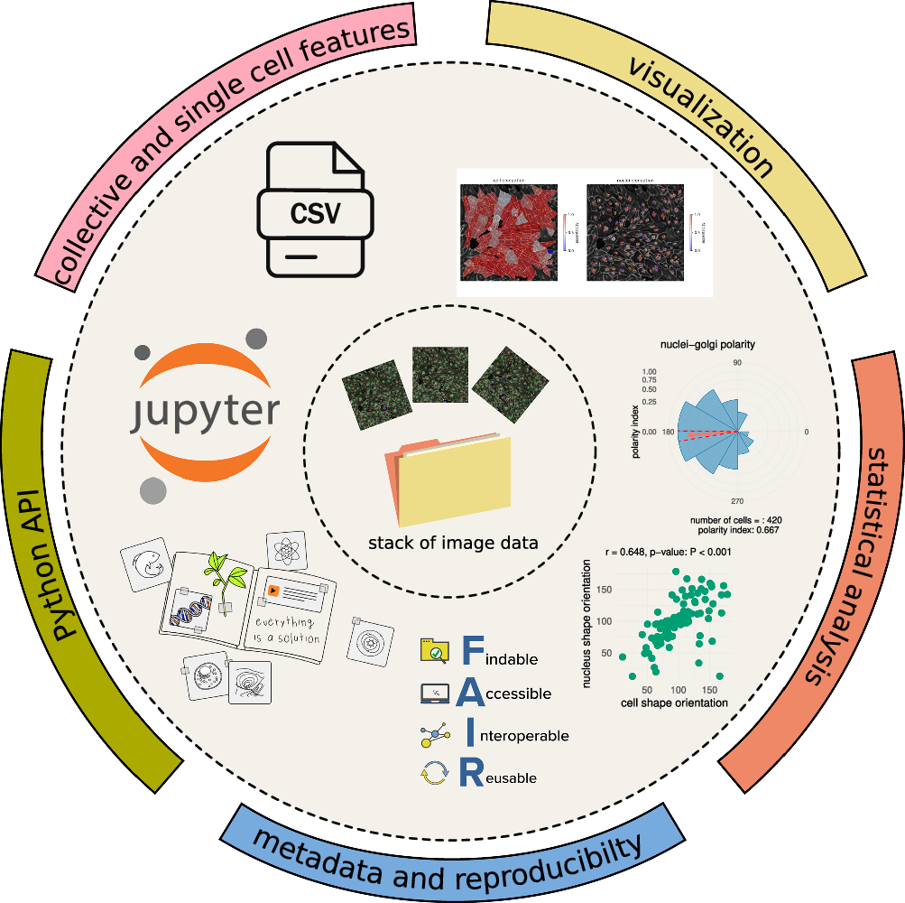 Fig. 7: Workflow for large image data stacks with automated feature extraction and quality control.