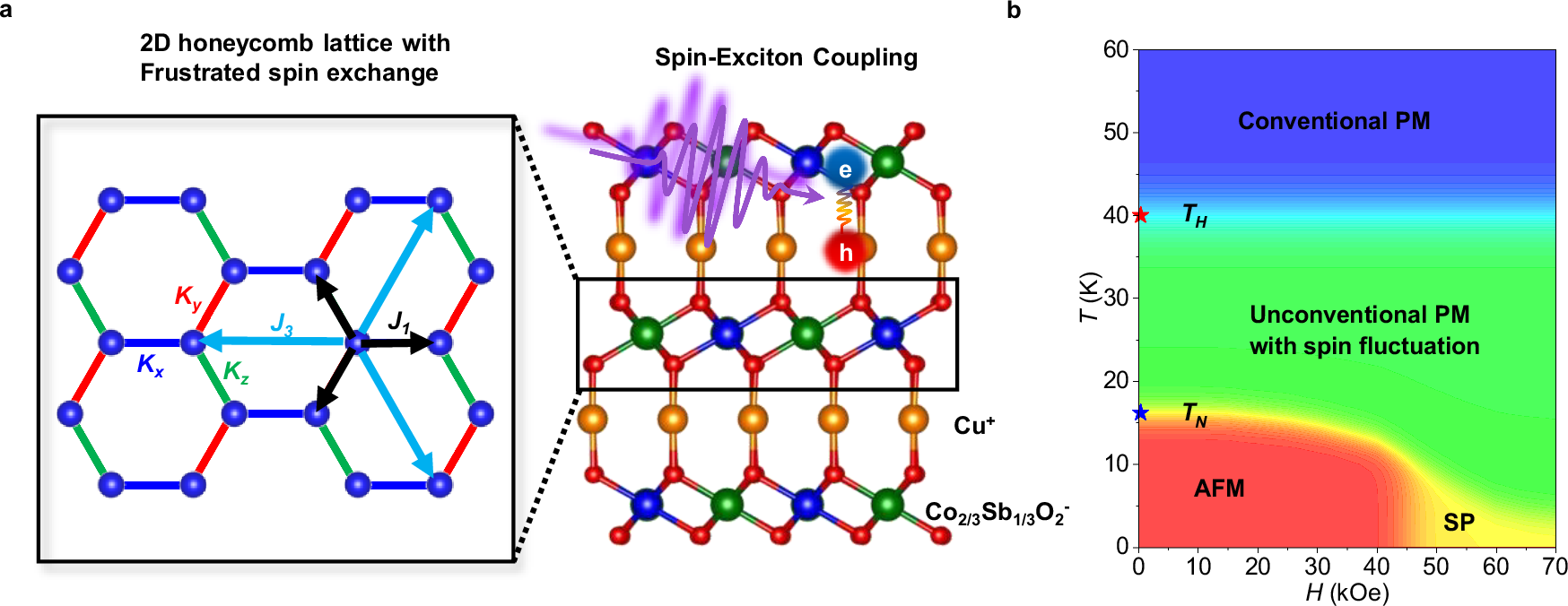 Fig. 1: Schematics of spin exchange interaction, spin-exciton coupling and the phase diagram of Cu3Co2SbO6.