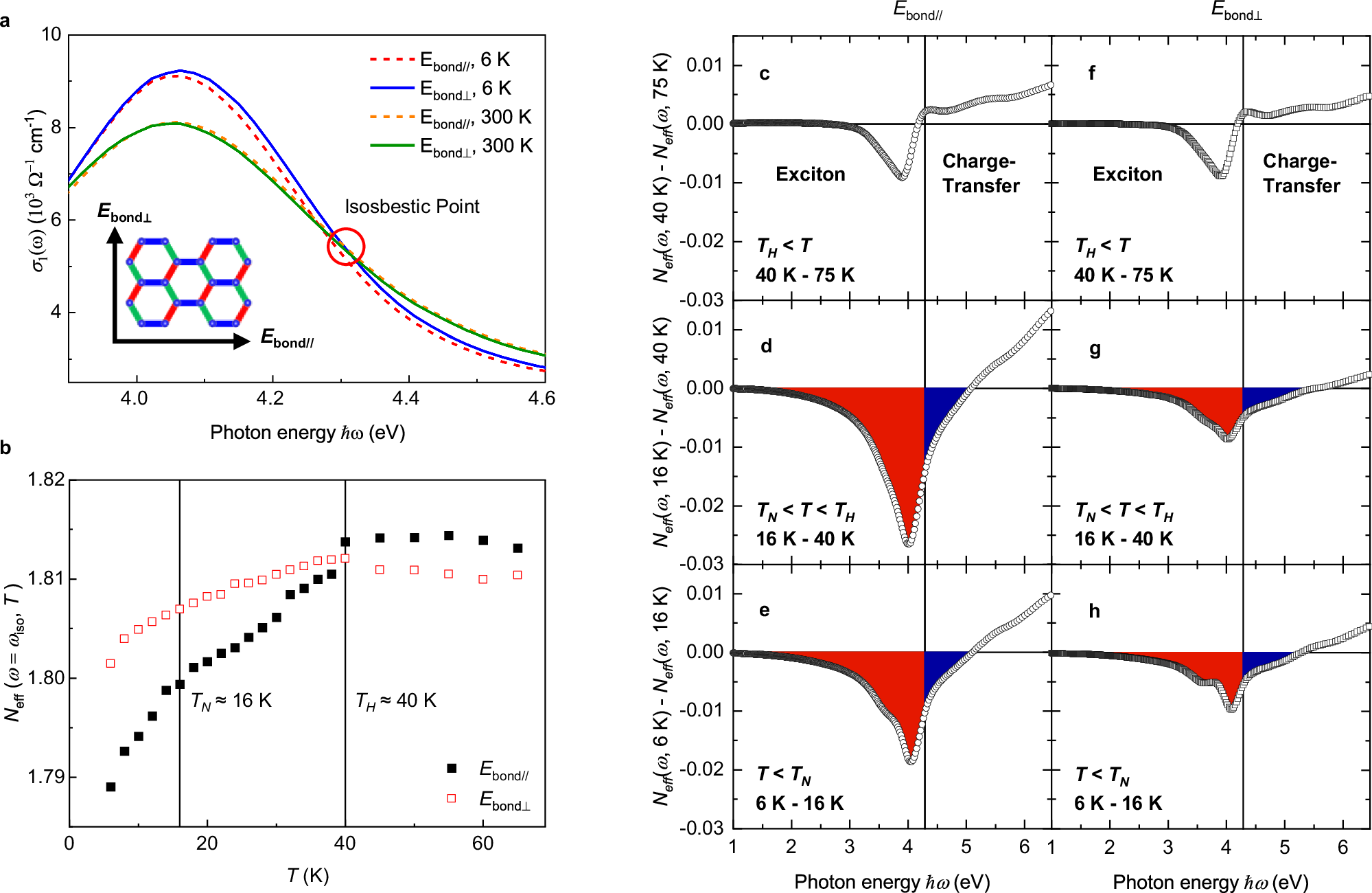 Fig. 4: SW transfer from different temperature range to explore the origin of TH and bond-dependent spin exchange interaction.