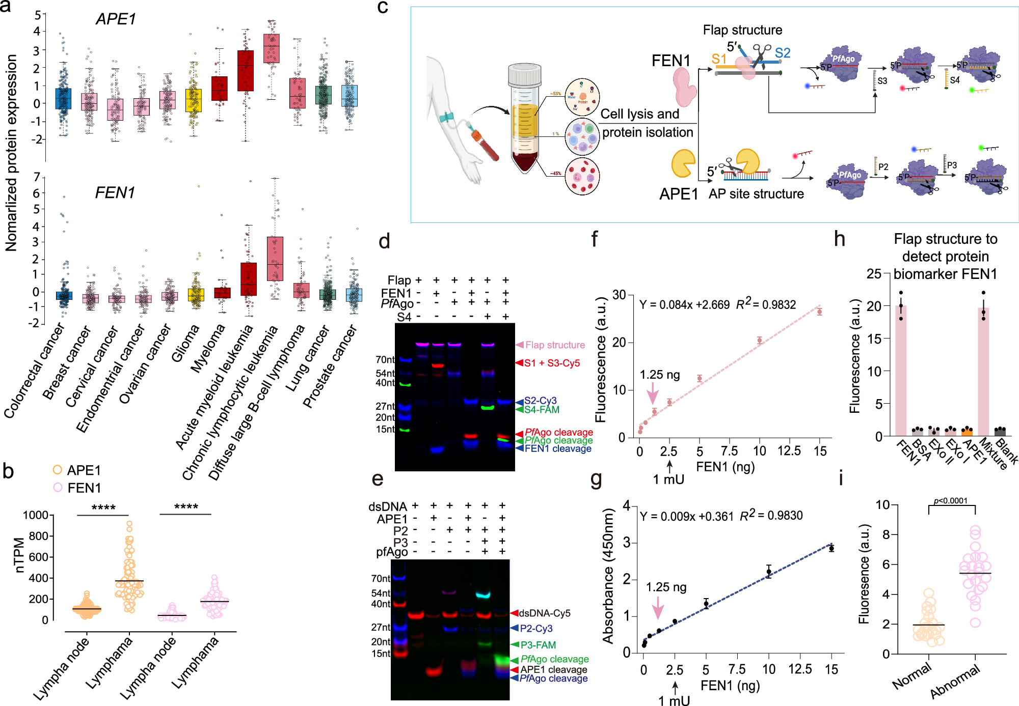 Fig. 6: Harnessing NAPTUNE for protein biomarkers testing.