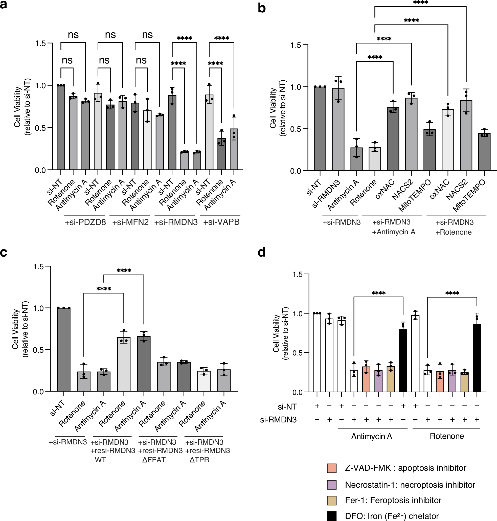 Fig. 4: Disruption of mitochondrial ROS-derived MERCSs attenuates cell viability.