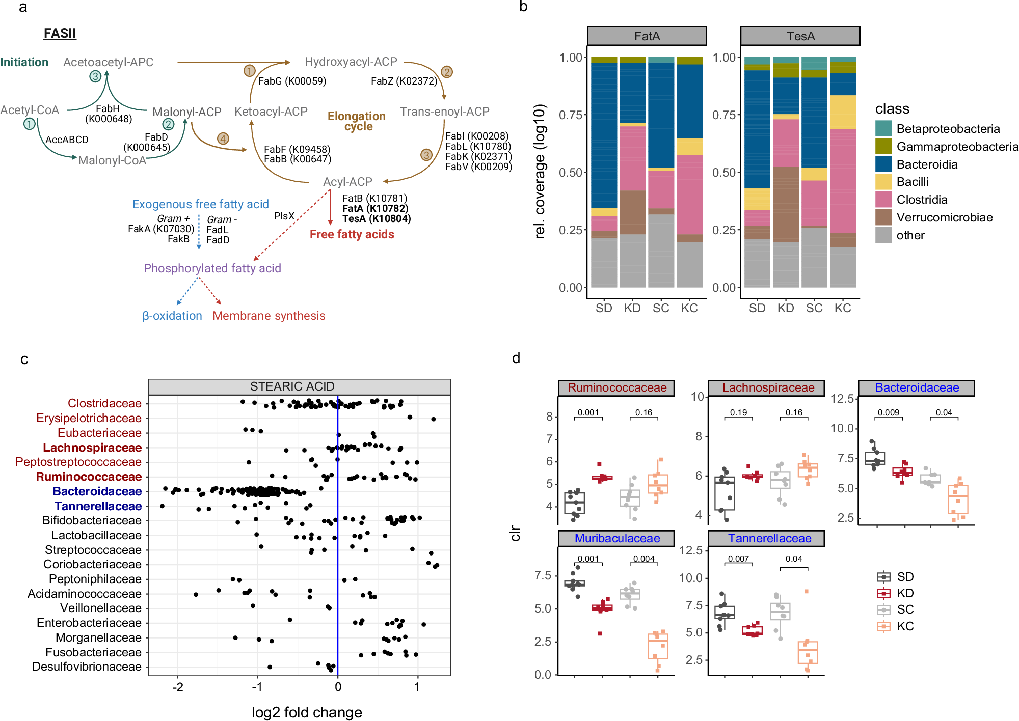 Fig. 5: Stearate is a microbial metabolite.