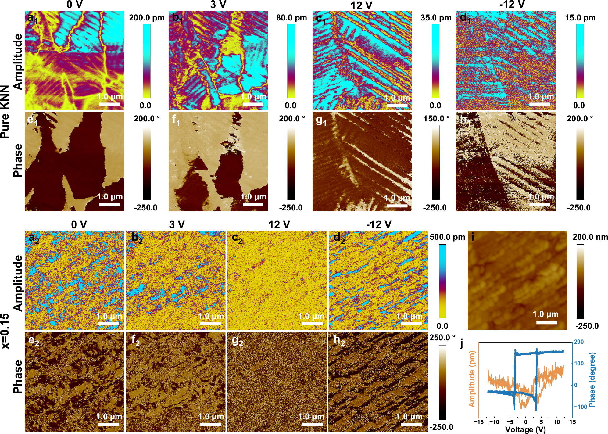 Fig. 4: Out-of-plane PFM of (1-x)KNN-xSNZ ceramics.