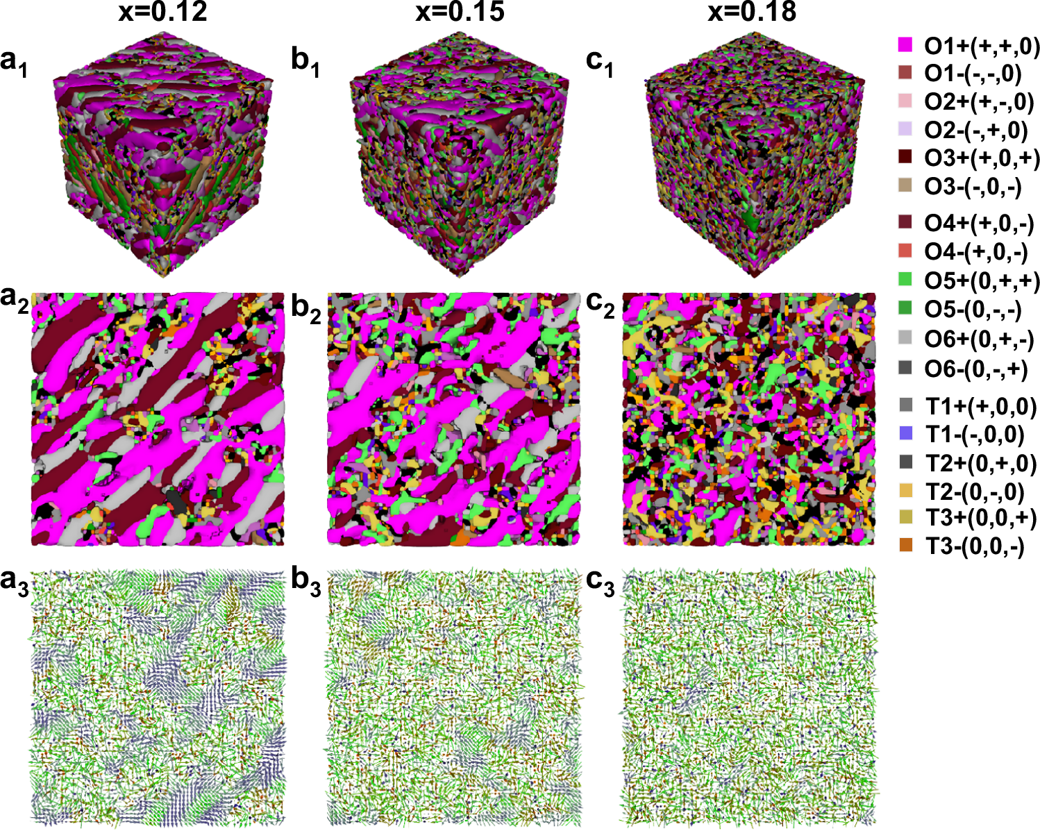 Fig. 6: Phase-field simulations of the domain structures.