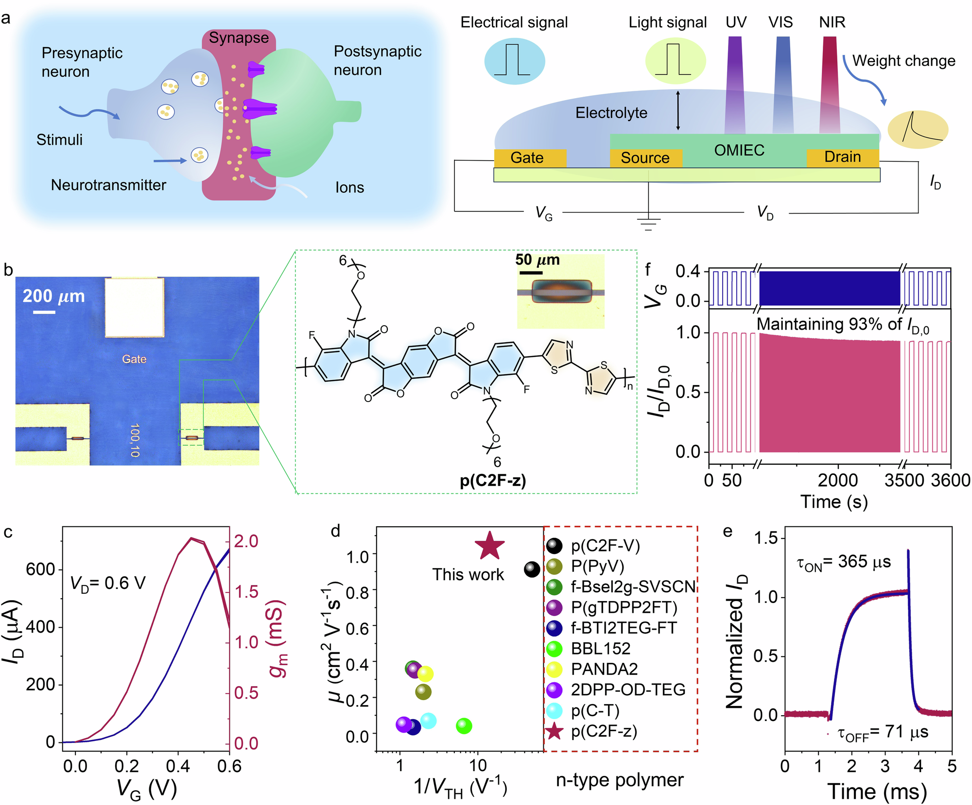 Fig. 1: Optoelectrochemical synapse based on an n-type organic electrochemical transistor.