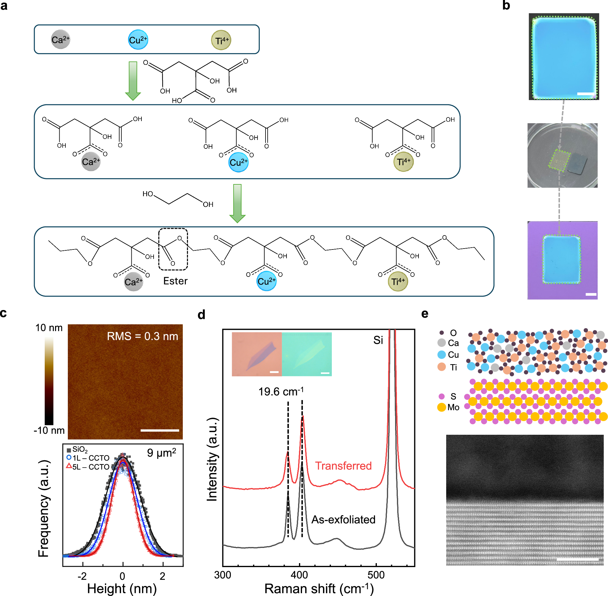 Fig. 1: Preparation and transfer of Pechini-derived CCTO films.