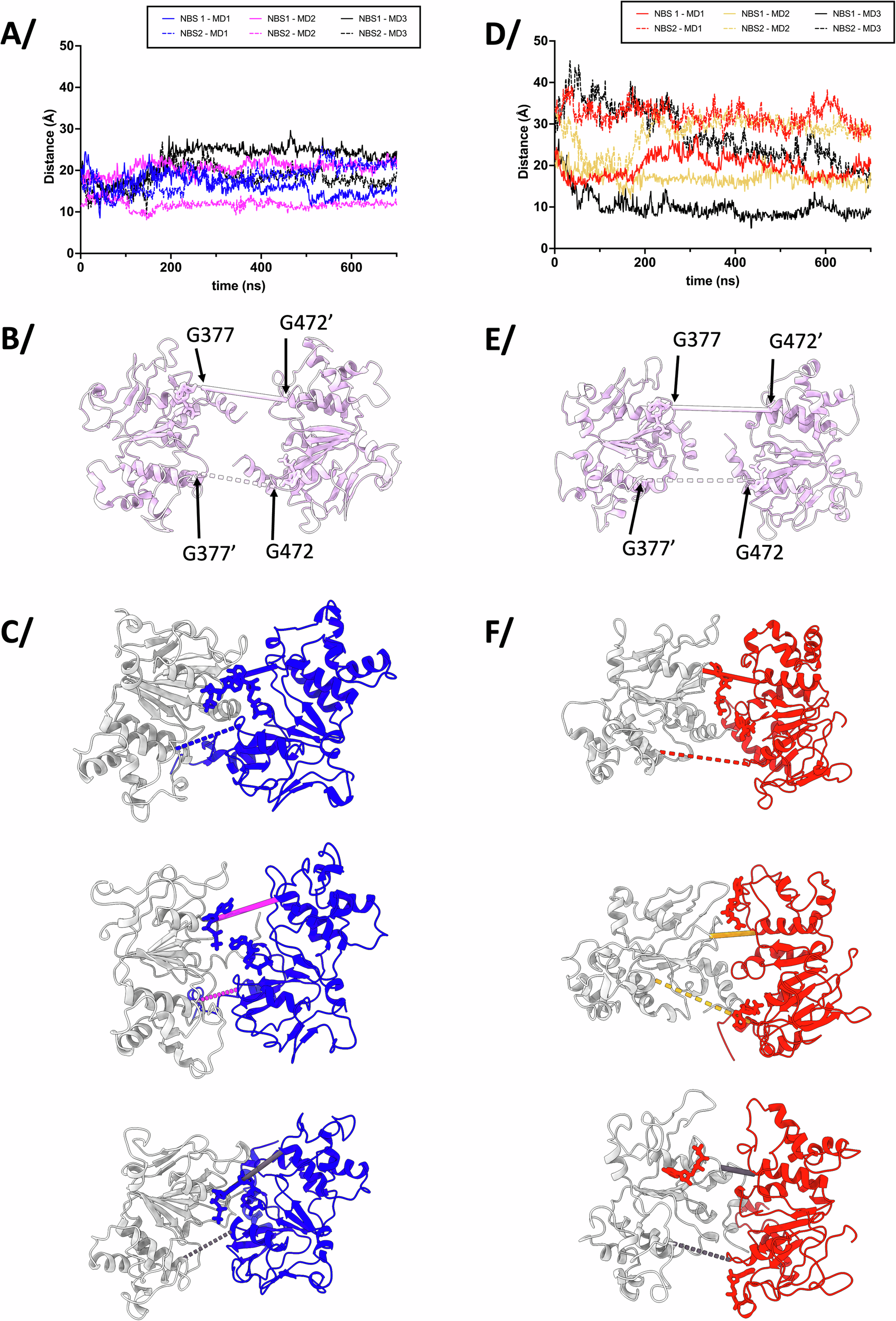 Fig. 5: NBS formation during Molecular Dynamics simulations.