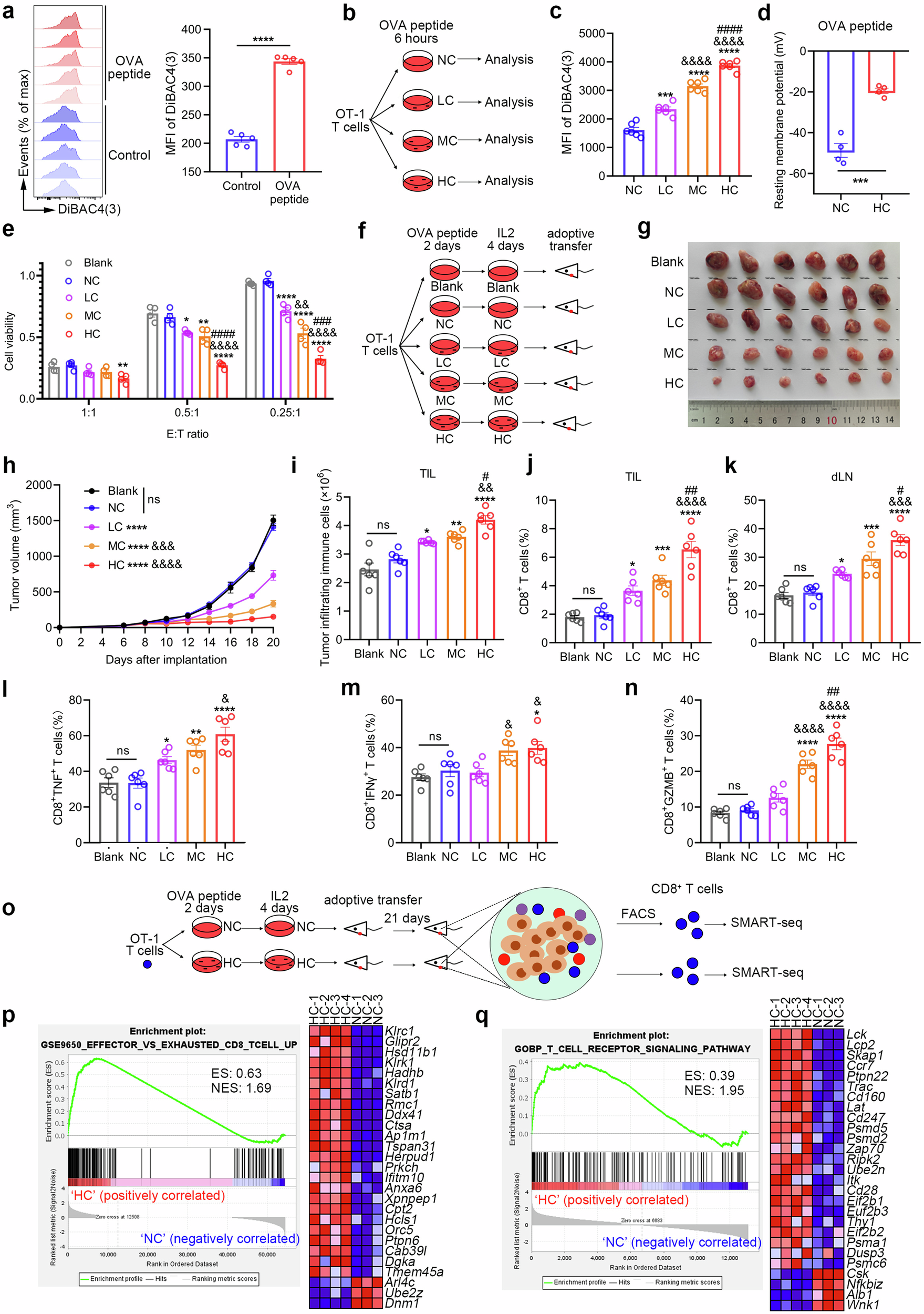 Charged substrate treatment enhances T cell mediated cancer immunotherapy |  Nature Communications