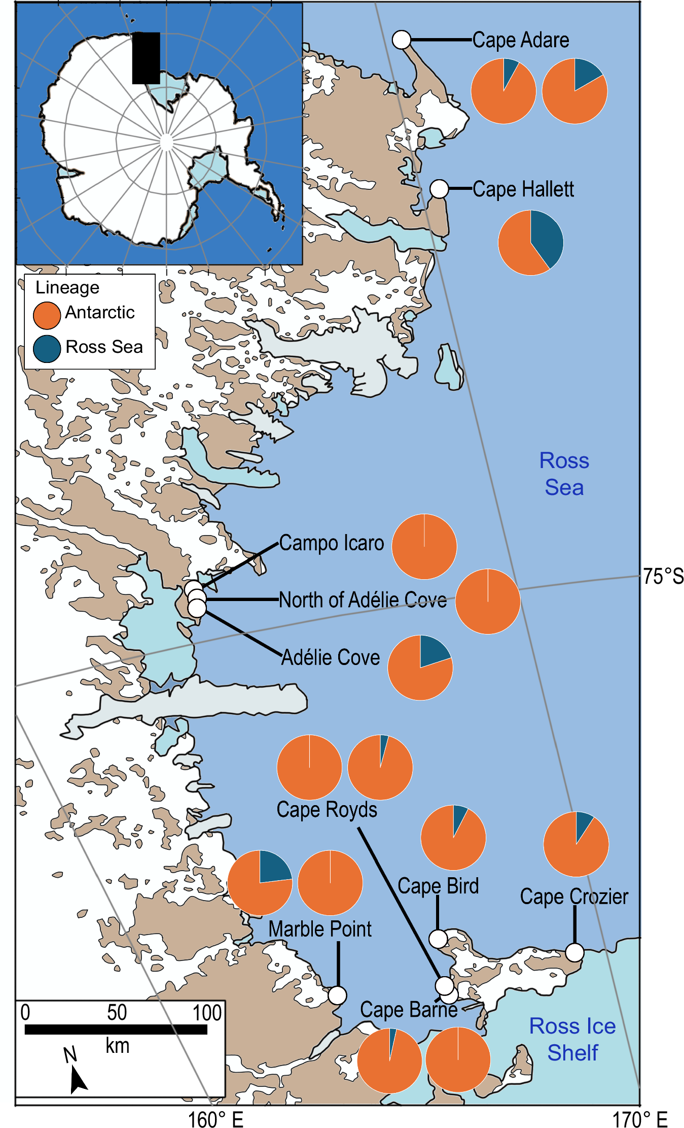 Fig. 4: Mitochondrial lineage proportions by locality.