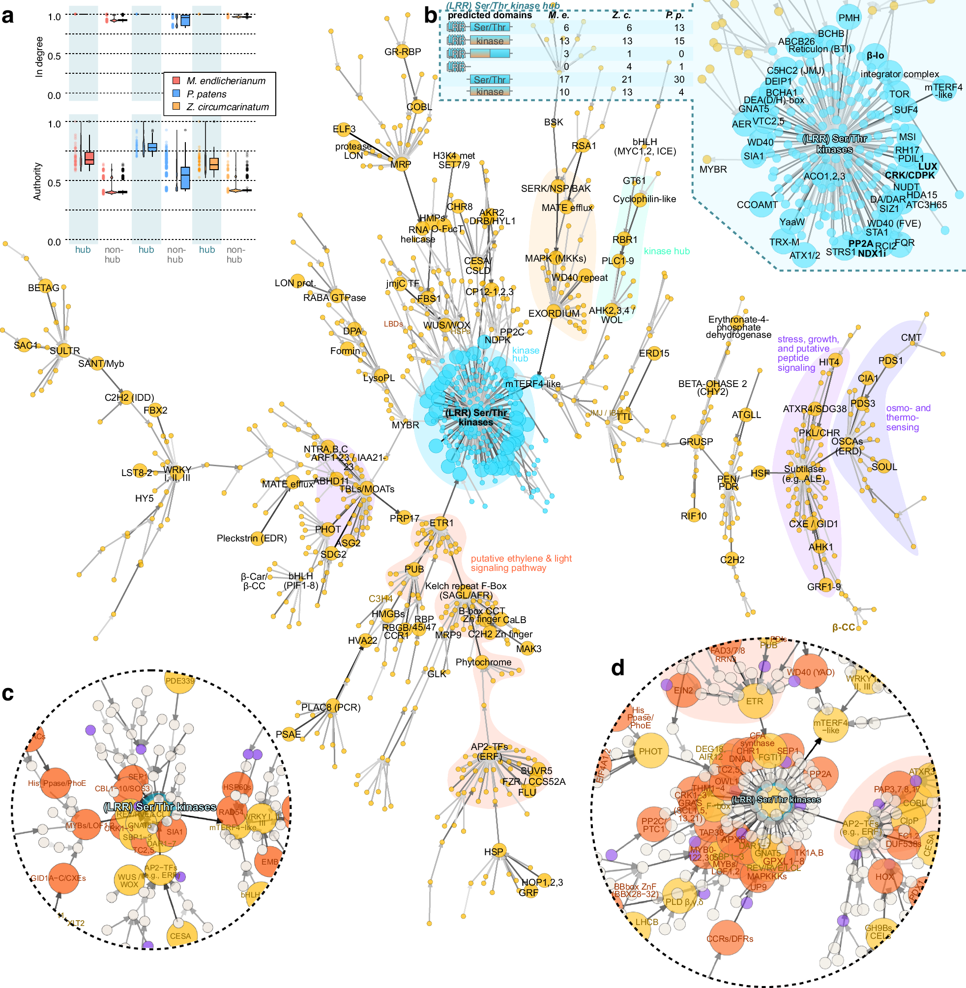 Fig. 6: A predicted gene regulatory network shared across 600 million years of streptophyte evolution.