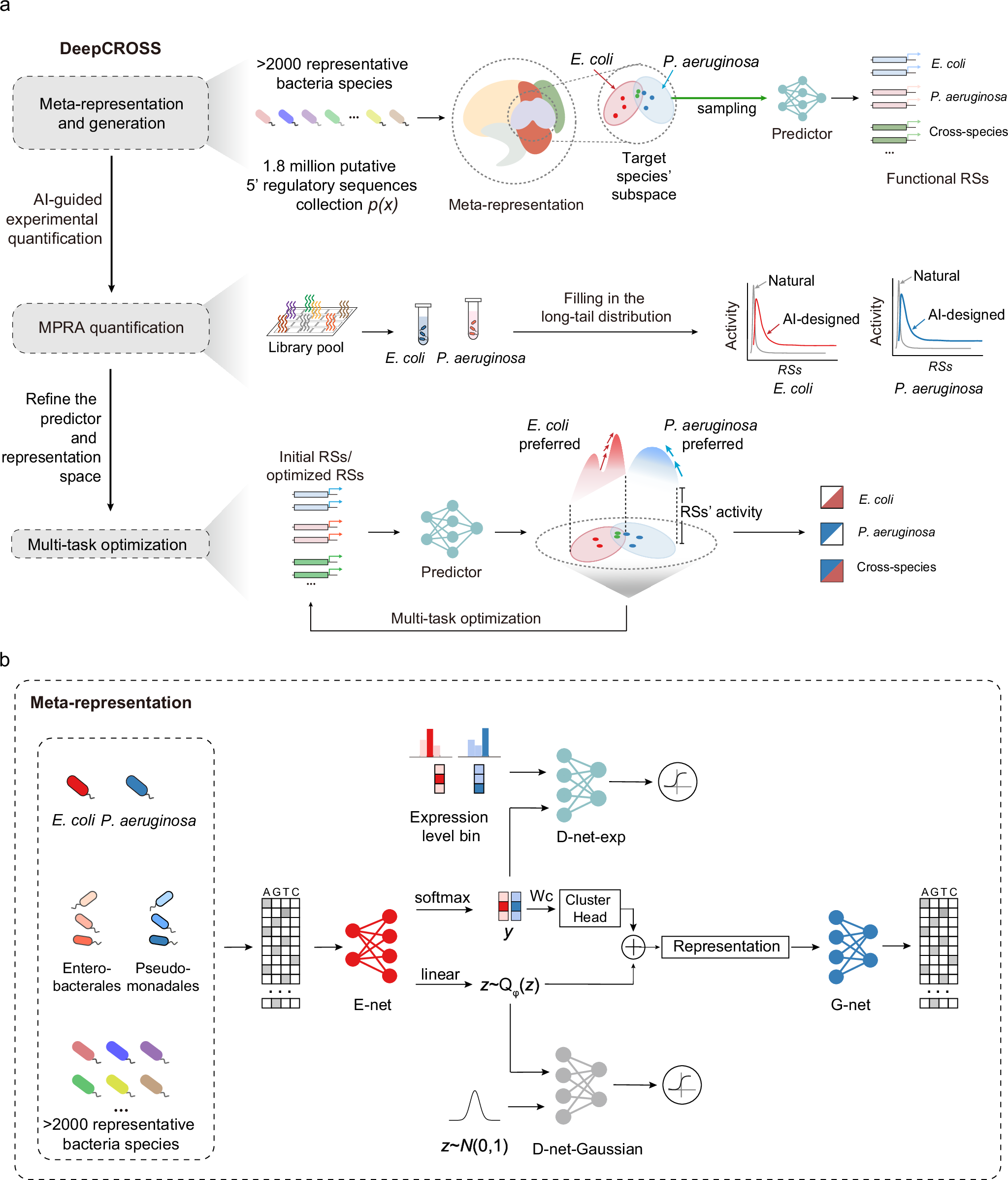 Fig. 1: An overview of the DeepCROSS approach.