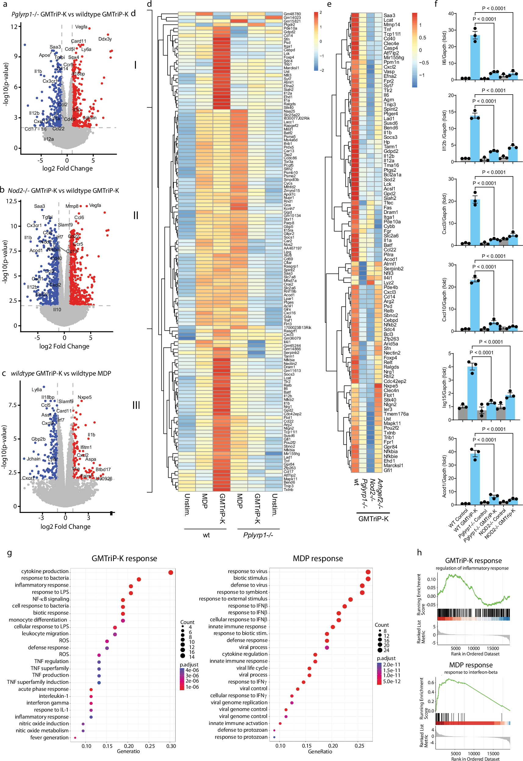 Fig. 2: PGLYRP1 is required for GMTriP-K-mediated transcriptional regulation in the NOD2/GEF-H1 pathway.