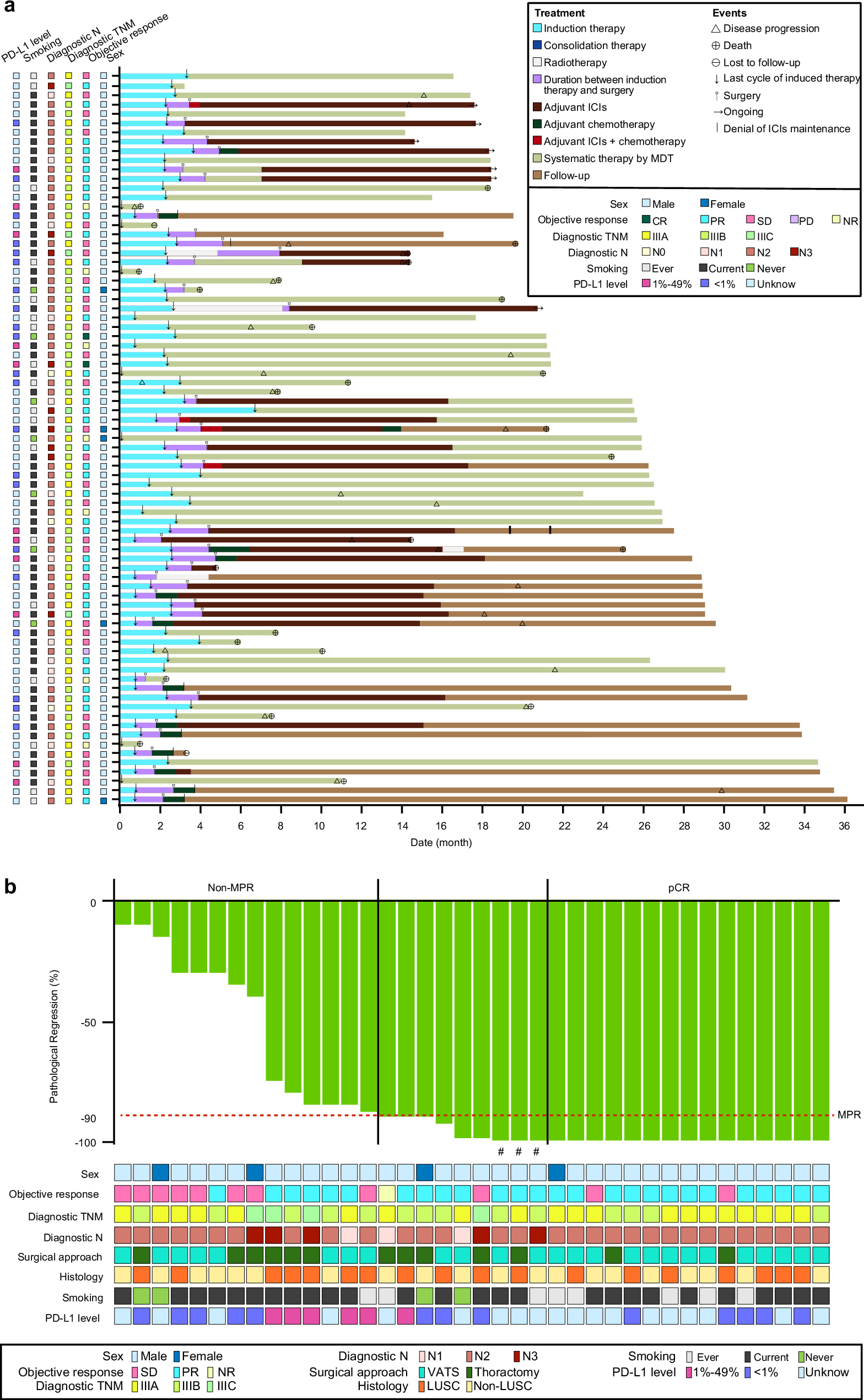 Fig. 3: Tumor responses in the Chemo subgroup.