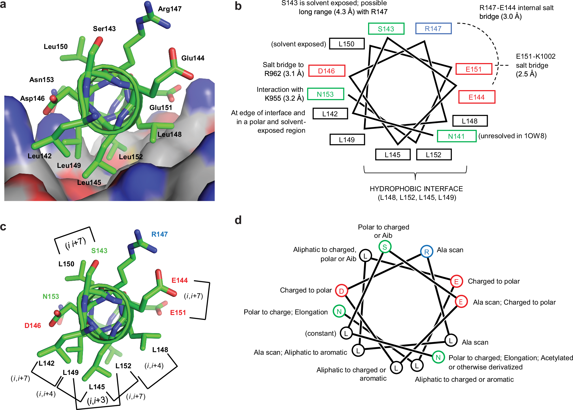 bpc-157 fak paxillin Structure-based discovery of hydrocarbon-stapled paxillin peptides that  block FAK scaffolding in cancer