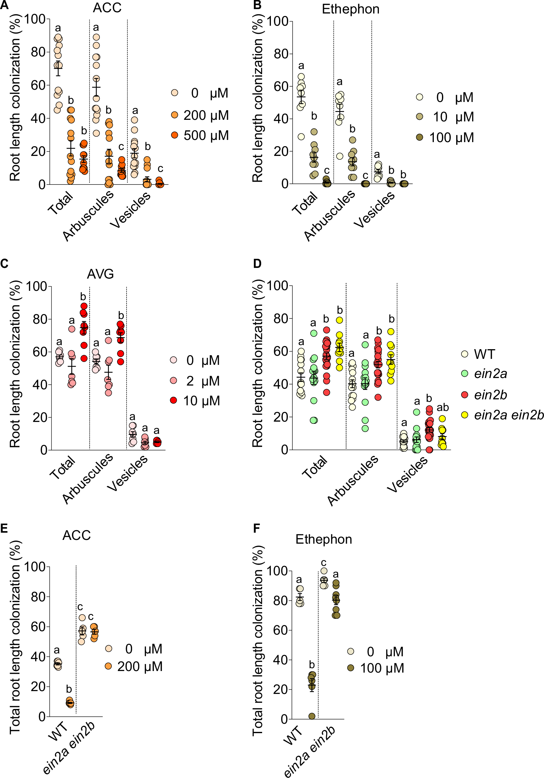 植物が菌類とパートナーシップを結ぶかどうかはホルモンが決める(Hormones determine whether plants form partnerships with fungi)