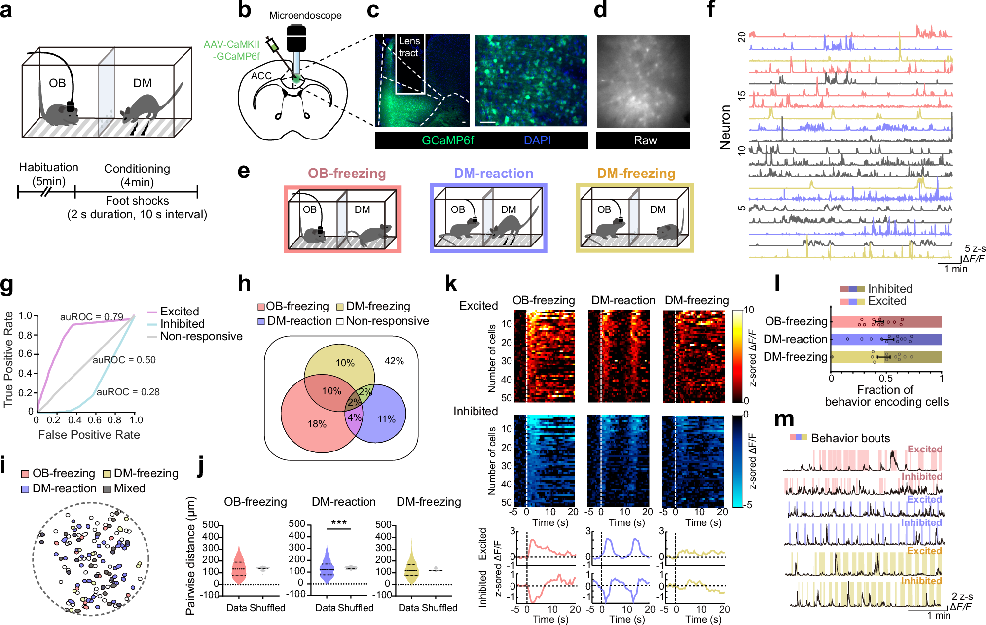 共感の神経基盤を解明 (Decoding the Neural Basis of Affective Empathy: How the Brain Feels Others’ Pain)