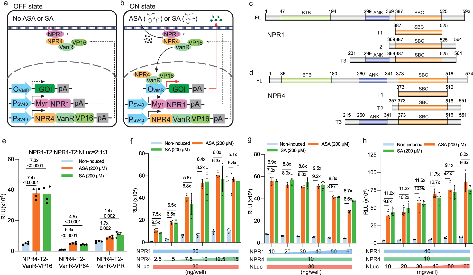 Aspirin-responsive gene switch regulating therapeutic protein expression |  Nature Communications