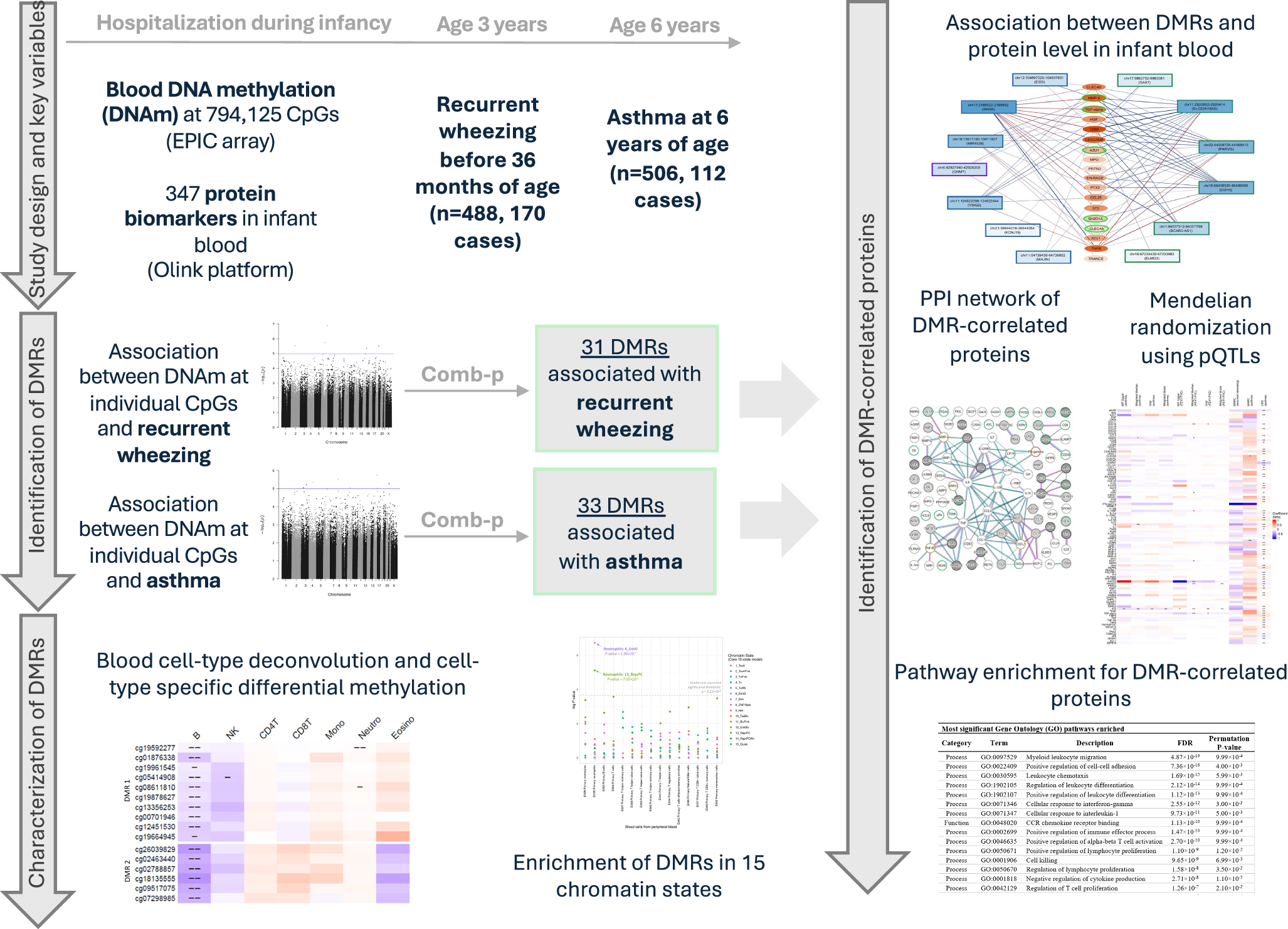 Fig. 1: Study design and analysis workflow.