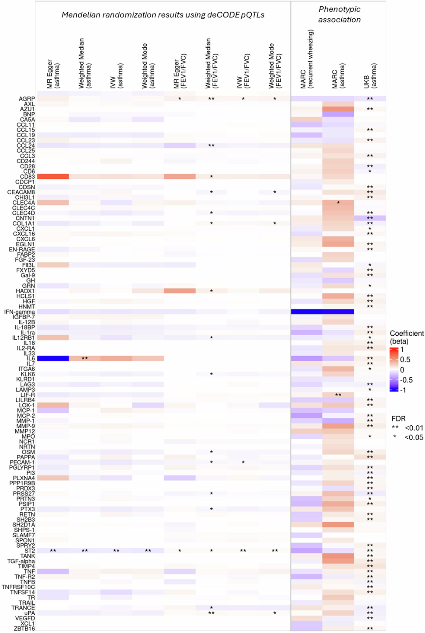 Fig. 4: Putative causal relationships and phenotypic associations between DMR-correlated proteins and asthma-related outcomes.
