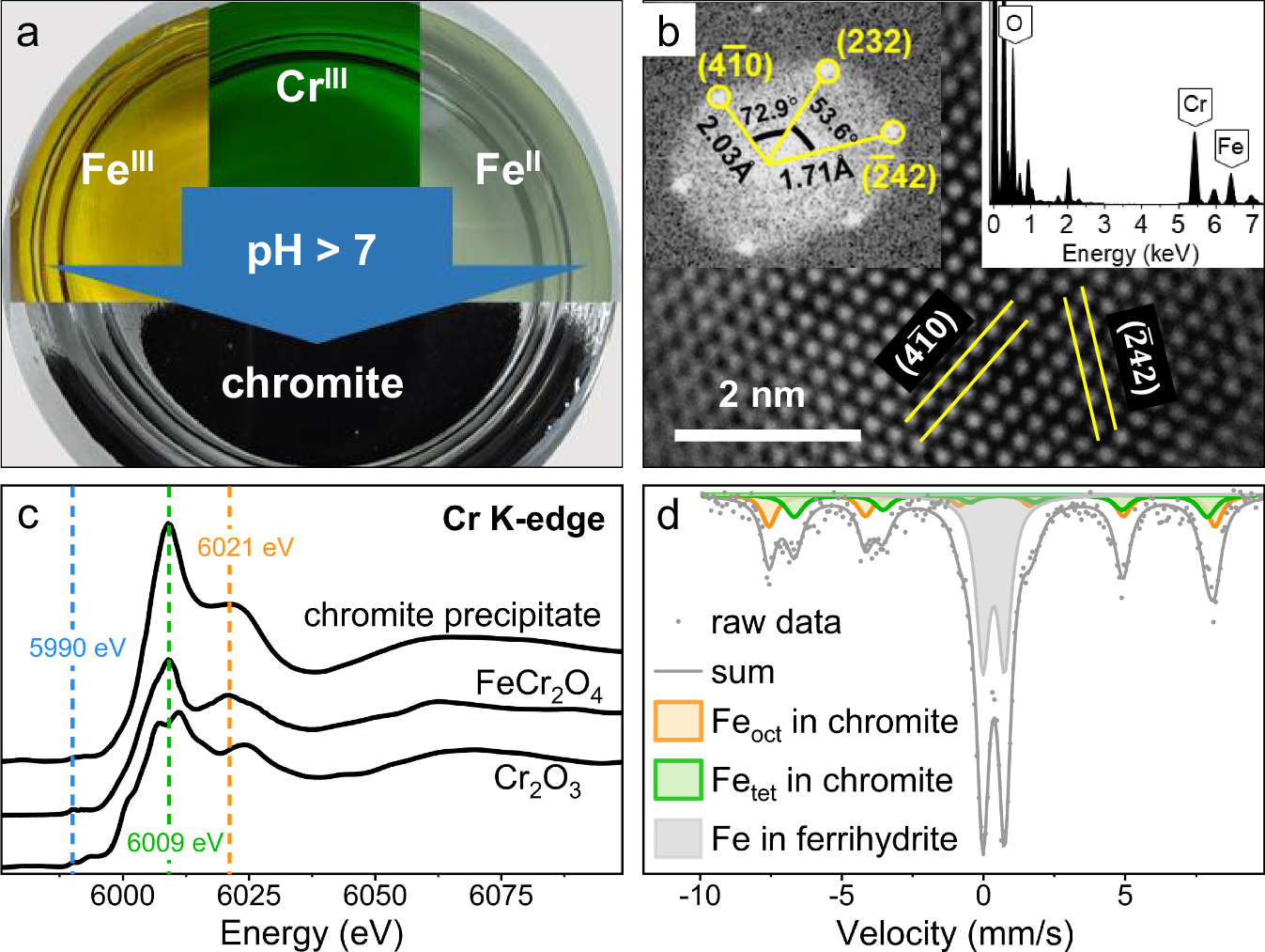 Fig. 1: Abiotic precipitation and characterizations of black precipitates under normal temperature and alkaline conditions.
