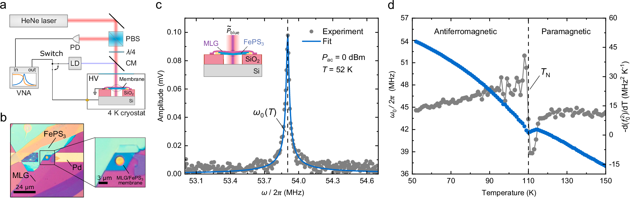 ナノドラムを用いた物質相転移の解明（Decoding material phase transitions with nanodrums）