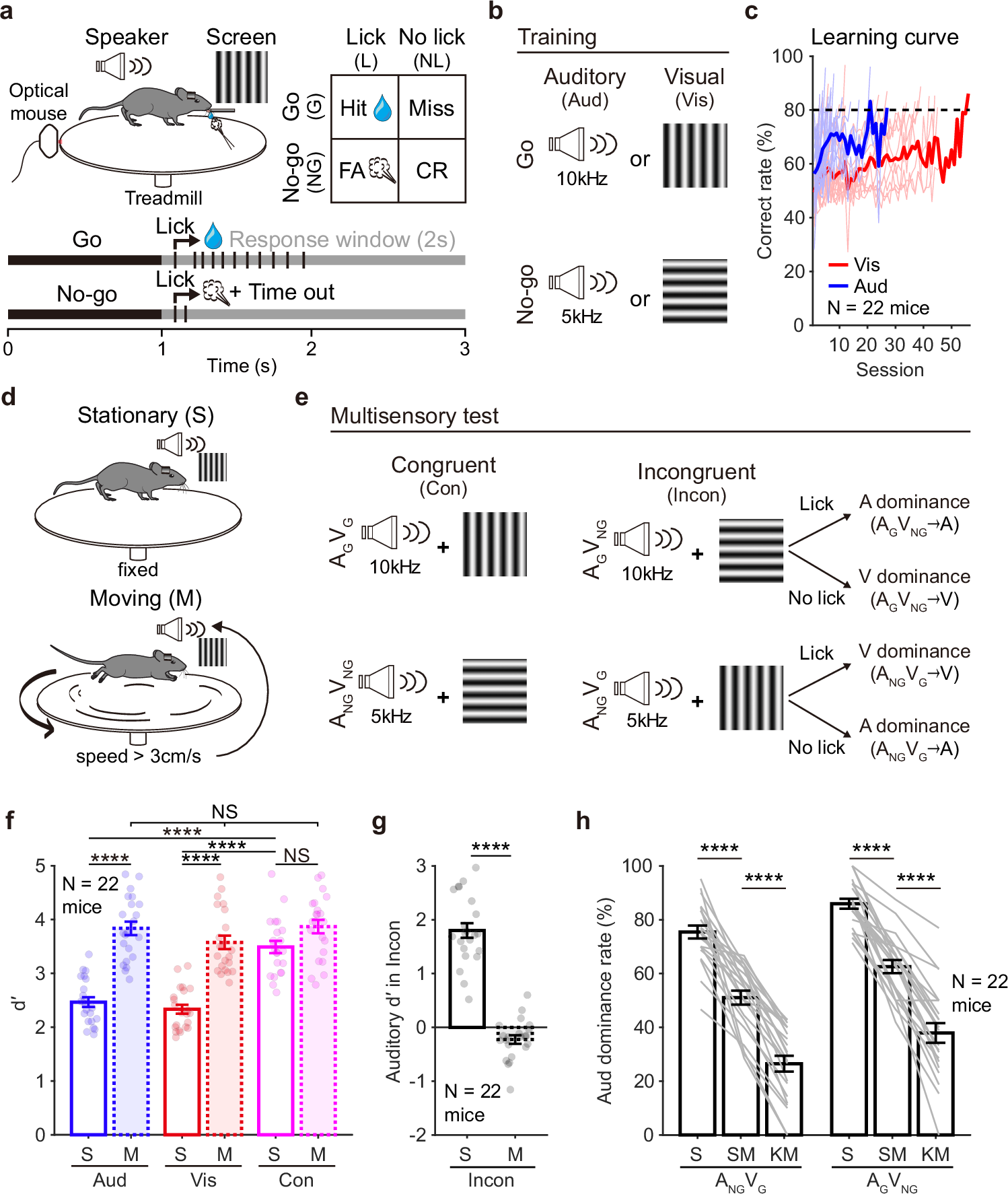 運動が視覚・聴覚情報の脳内処理に与える影響を解明(How Movement Affects the Way the Brain Processes Sound and Sight)
