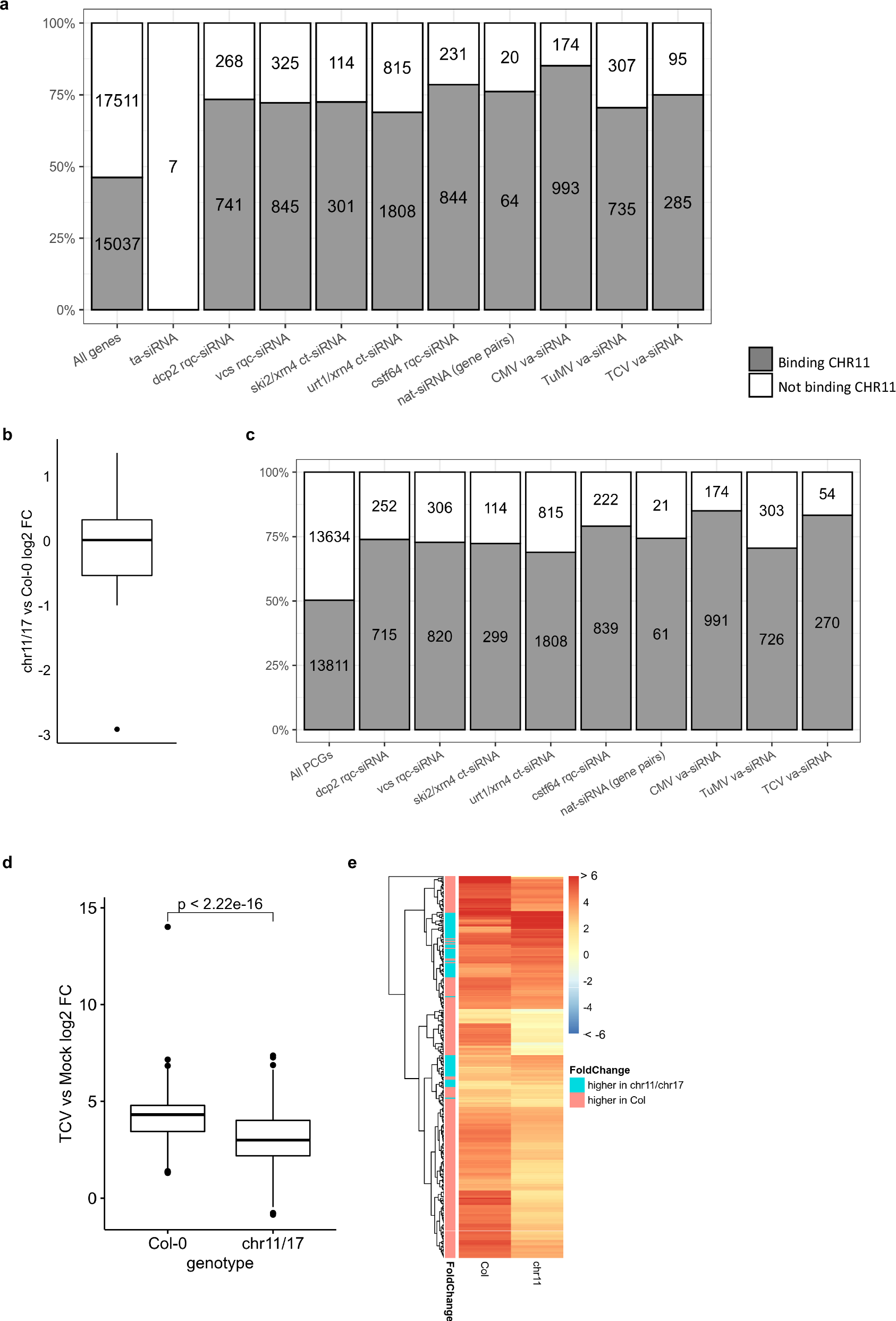 Fig. 6: CHR11 is enriched at endogenous PCGs producing siRNAs and promotes siRNA production.
