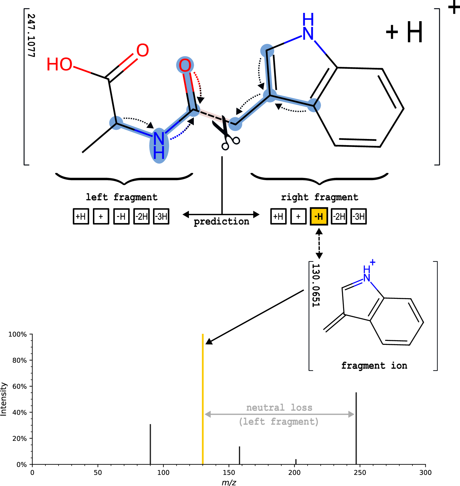 Fig. 8: Illustration of FIORA’s fragmentation algorithm using the central bond as an example.