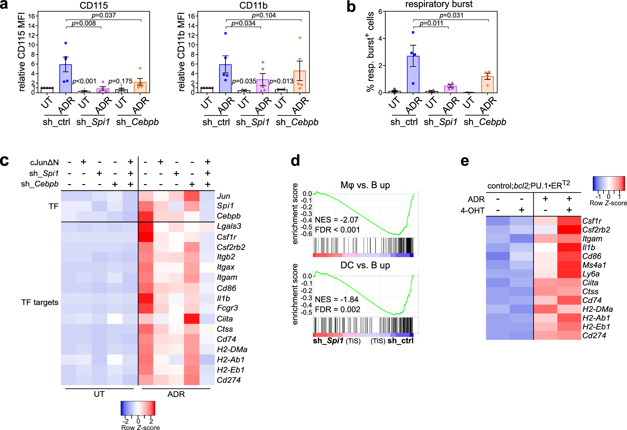 Fig. 3: PU.1, C/EBPβ, and AP-1 TF cooperatively regulate aberrant lineage transition.