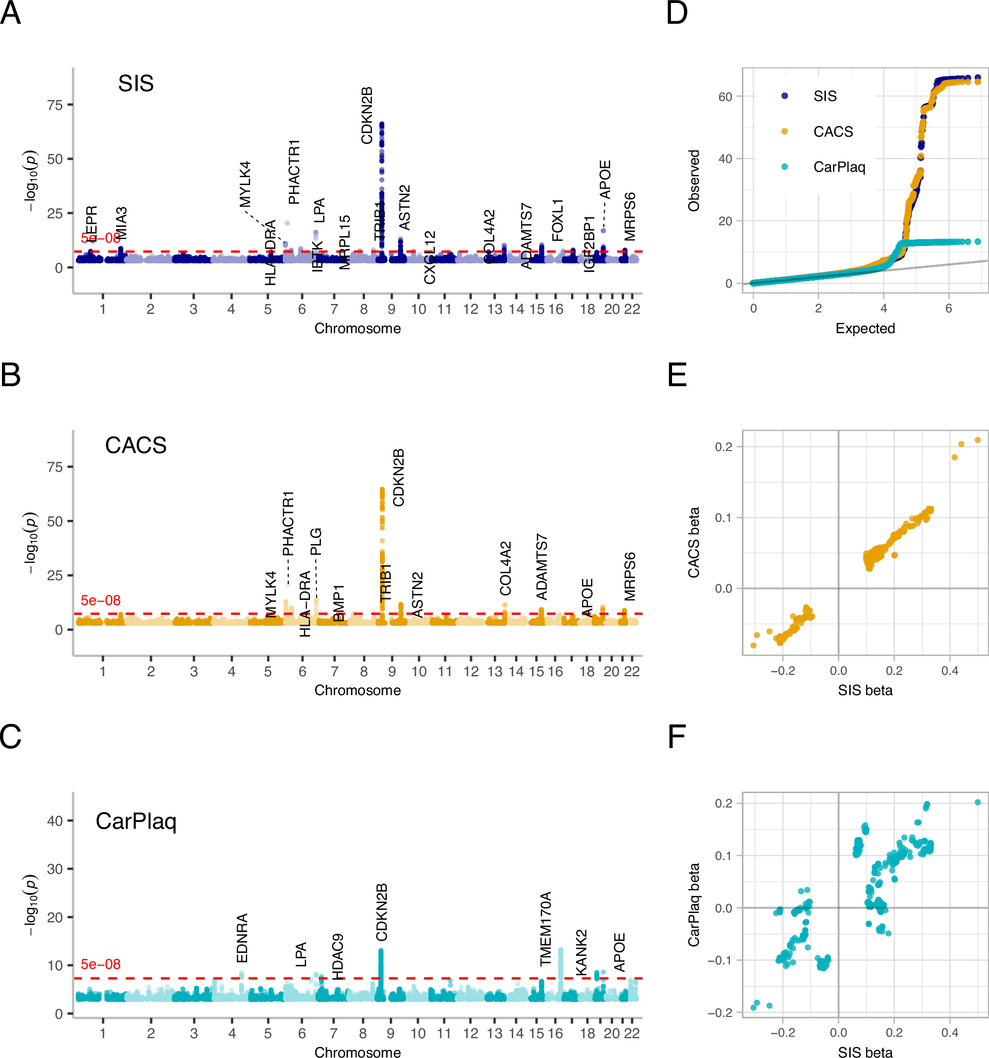 心血管疾患の遺伝的要因をマッピング(Researchers have mapped the genetics of cardiovascular disease)