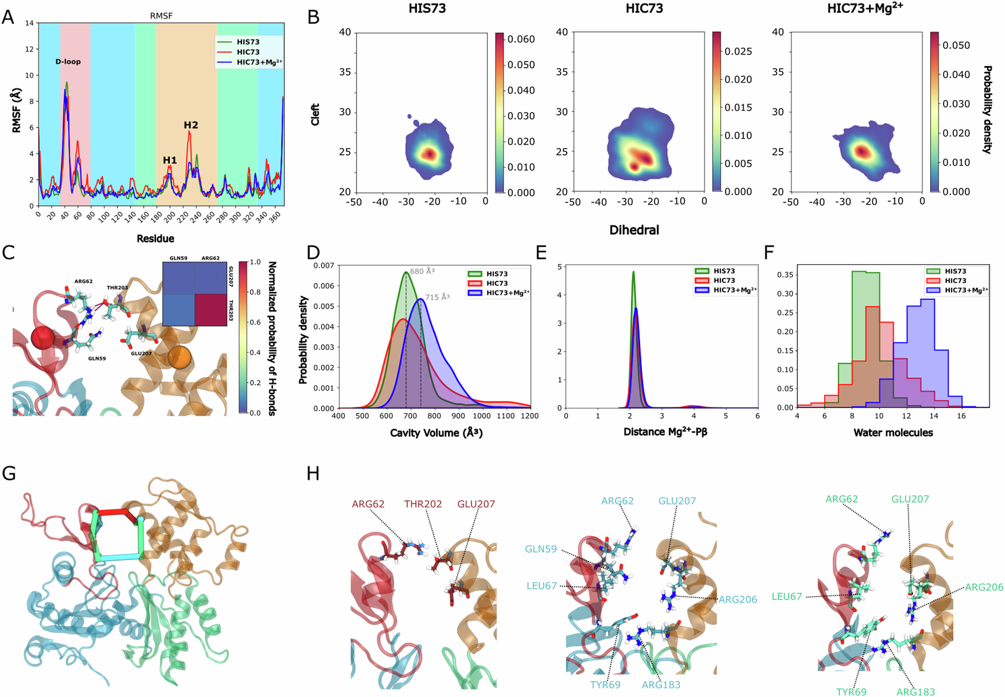 Fig. 4: ADP reduces the β-actin dynamics.