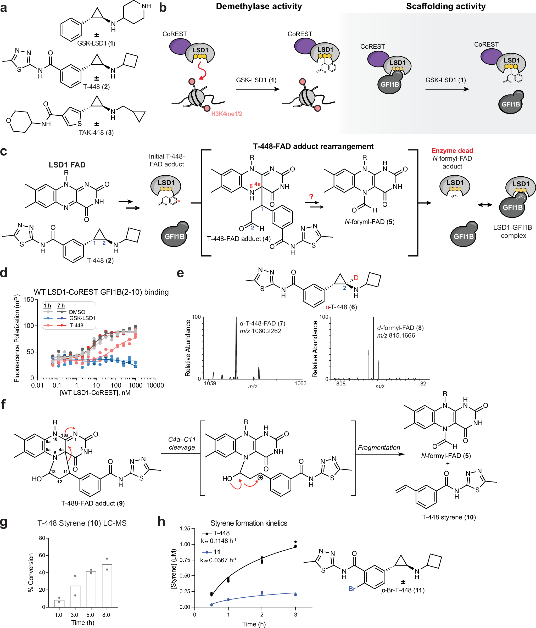 Fig. 1: Inhibitor-FAD adduct fragmentation proceeds through a Grob Mechanism.