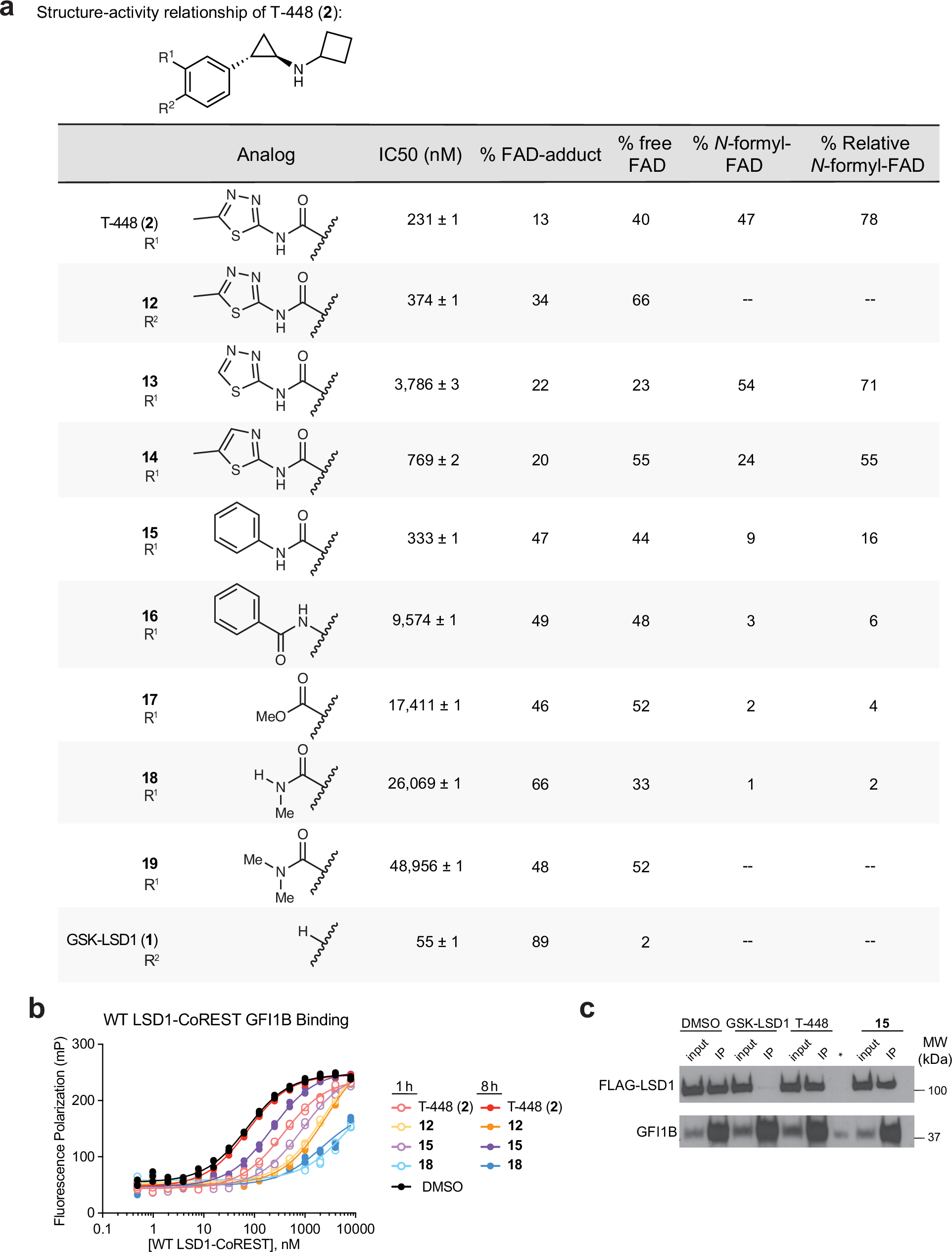 Fig. 2: Structure-activity relationships of T-448 analogs.