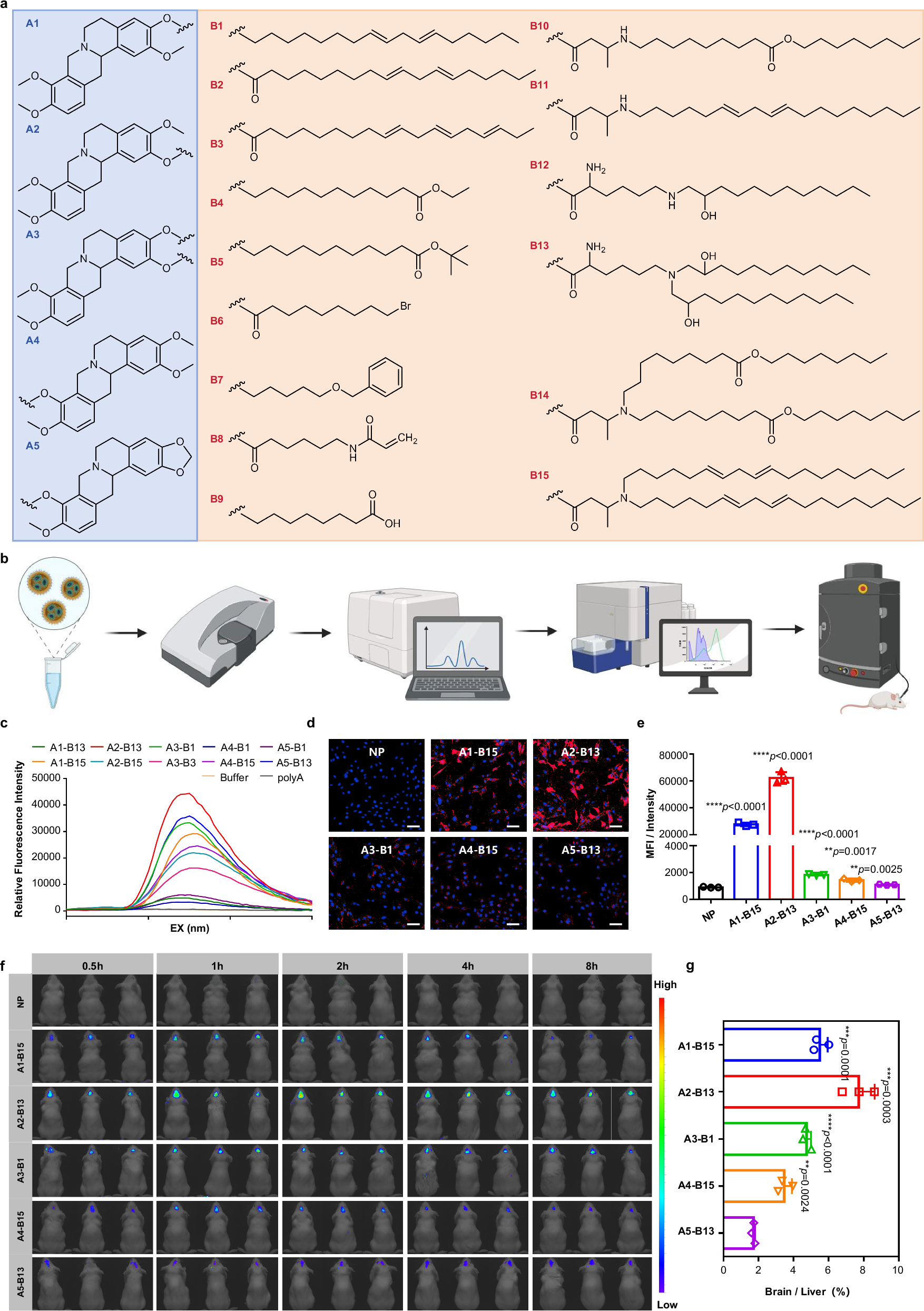Fig. 2: Design and characterization of tetrahydroisoquinoline alkaloid-based ionizable lipids.