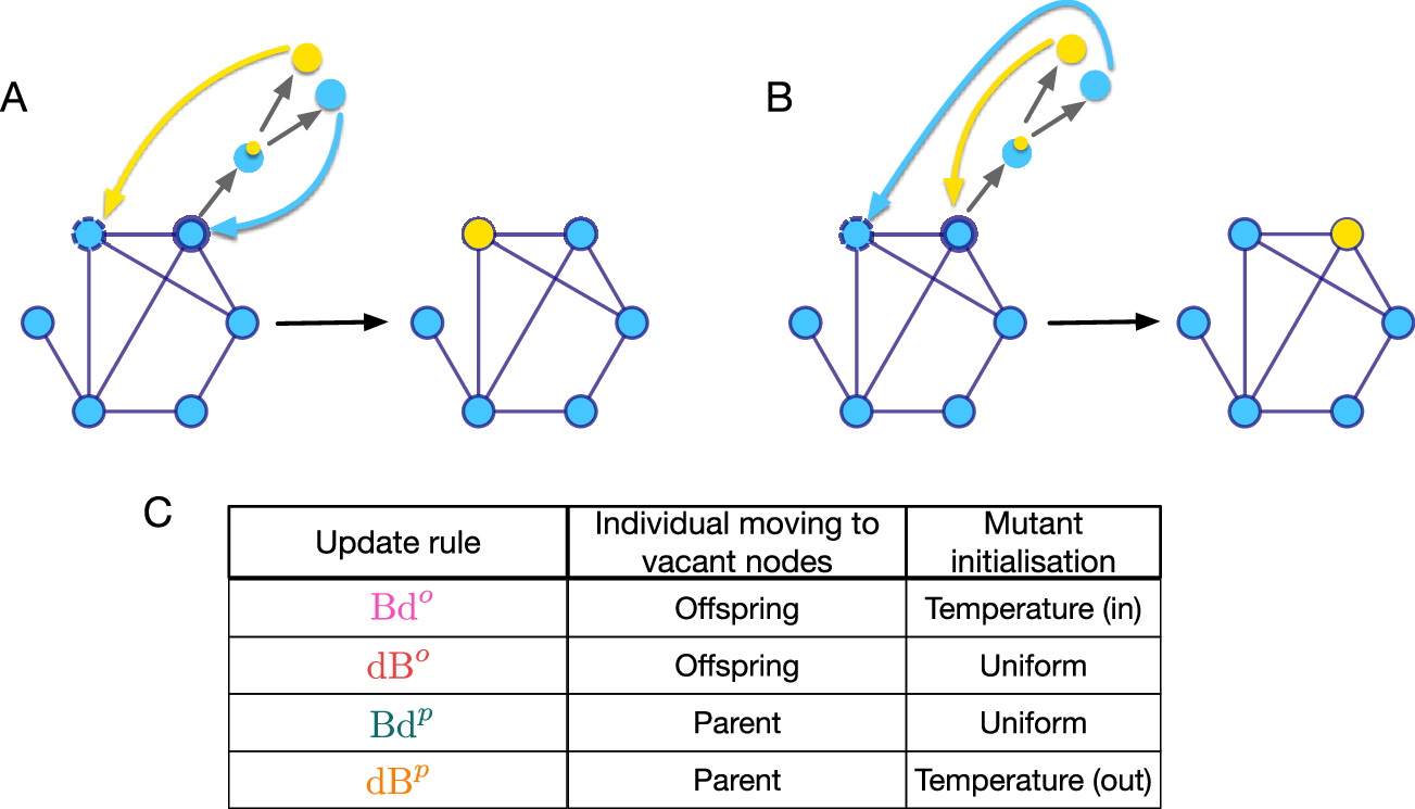個体構造が進化を形作る(Population Structure Shapes Evolution)