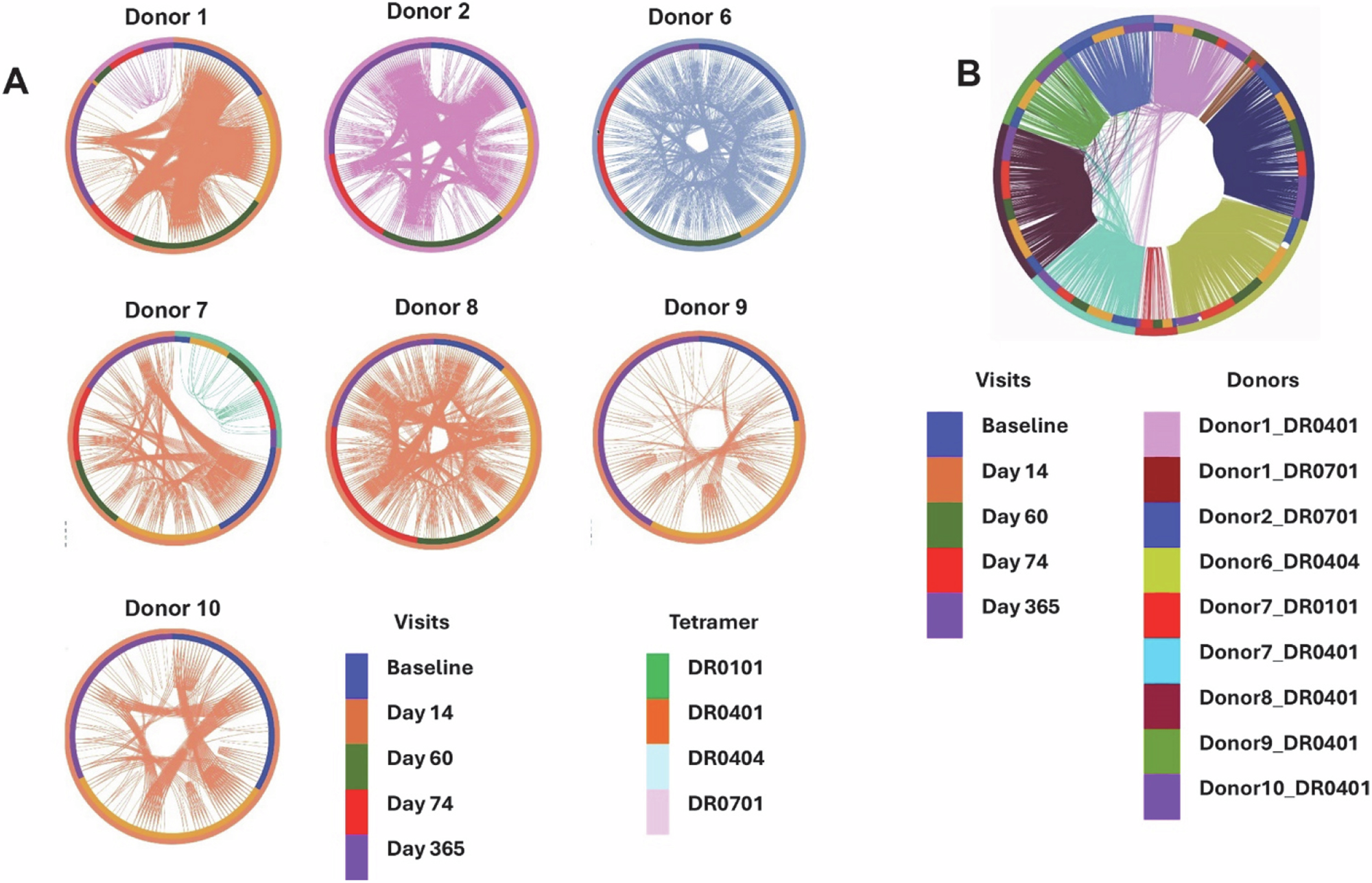 Fig. 3: Intra-individual TCR sharing at different time points.