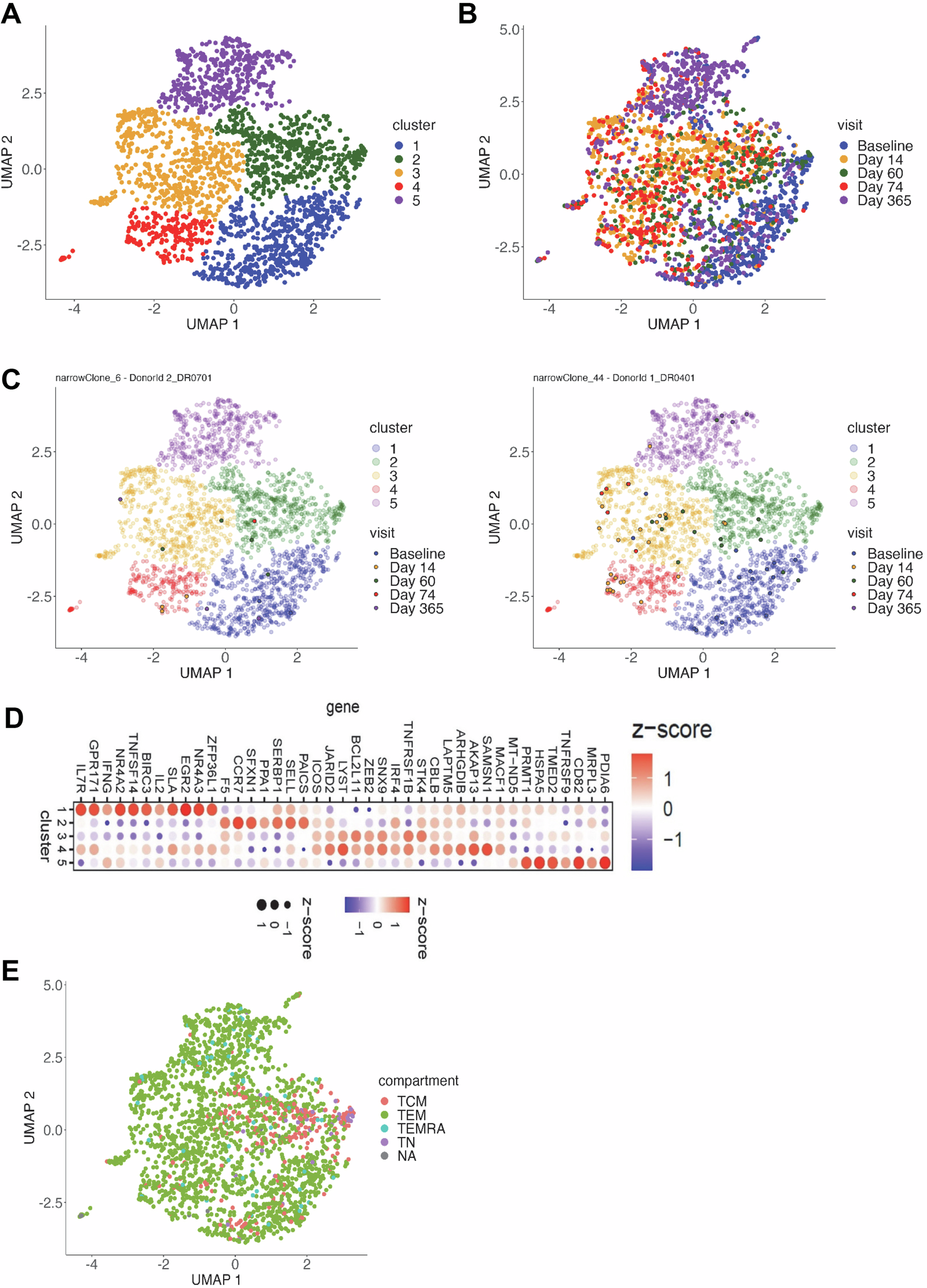 Fig. 7: VZV gE-specific T cells from pre- and post-vaccination timepoints segregate into different clusters as according to Monocle3 analysis.