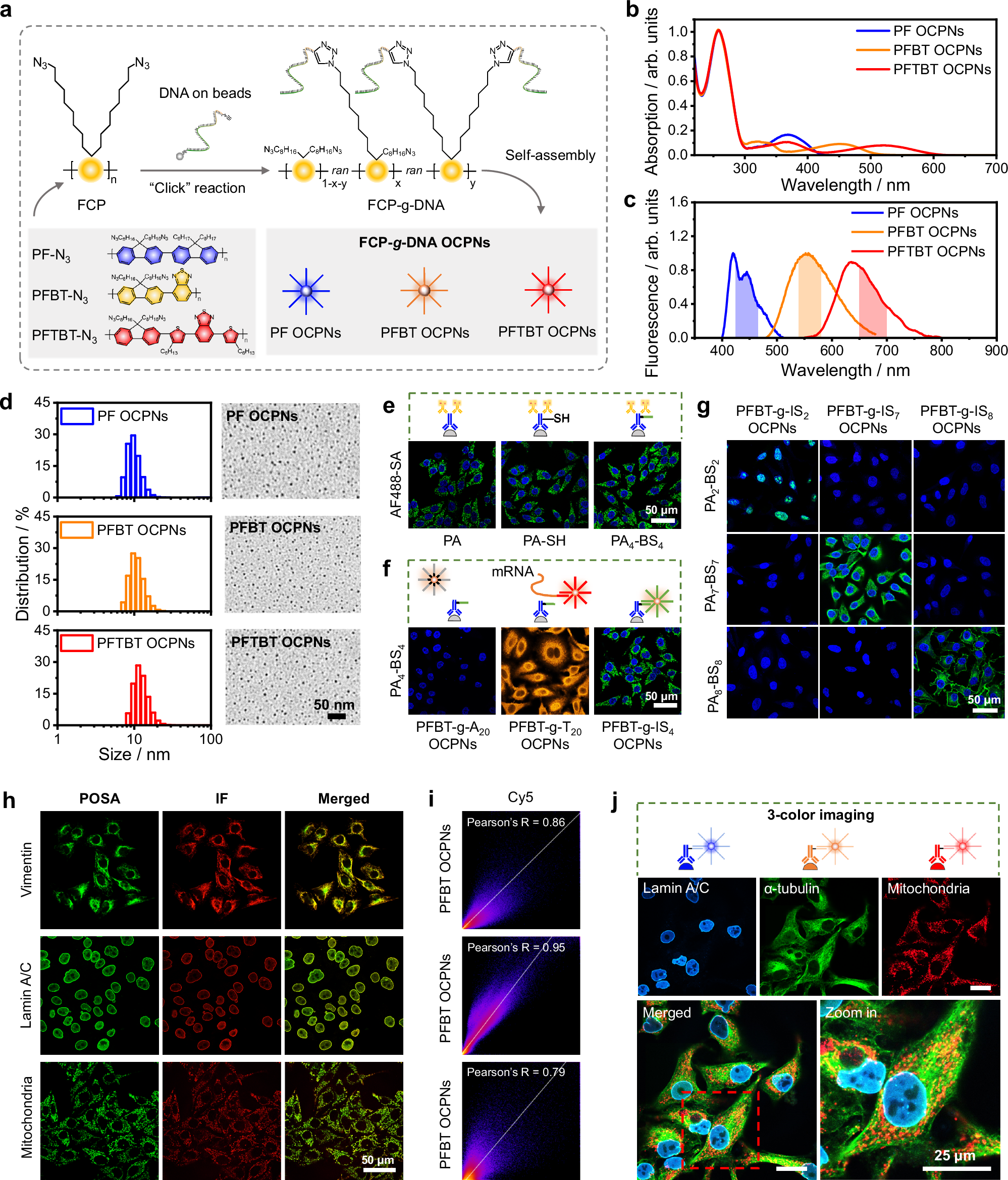 Fig. 2: The characterizations of OCPNs and proof-of-concept studies.