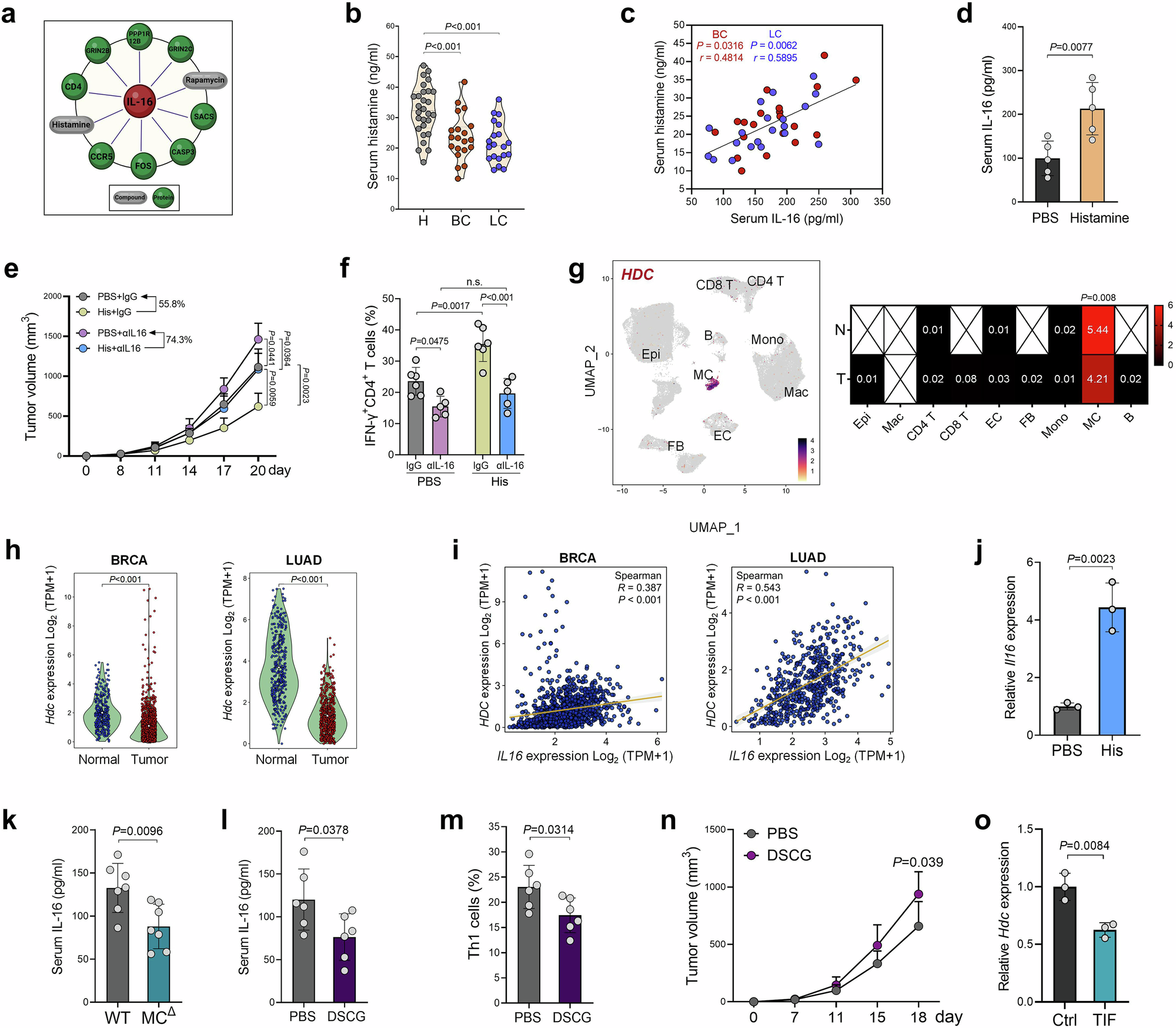 Fig. 8: Impaired histamine production contributes to IL-16 downregulation in TME.