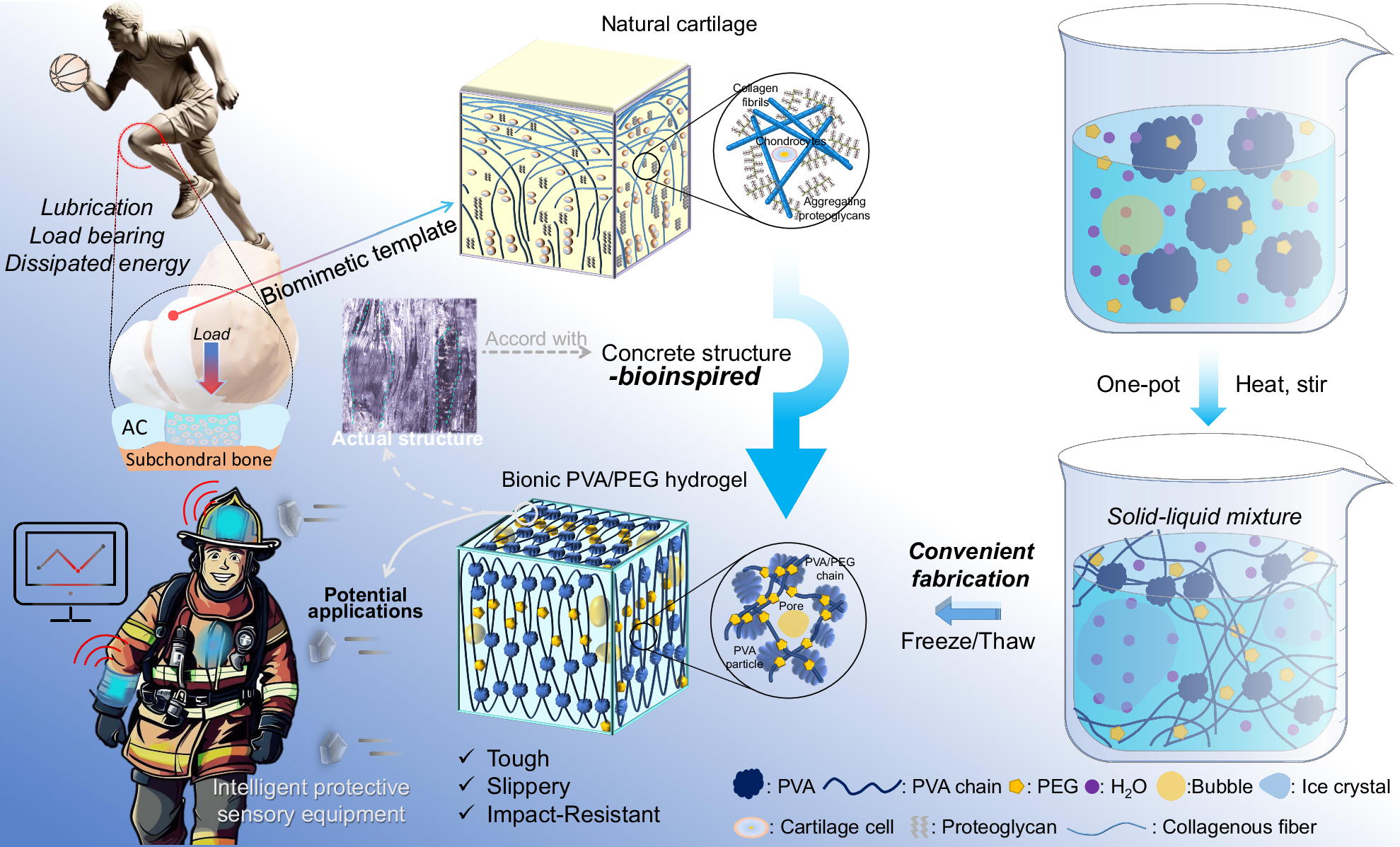 Fig. 1: Material design and potential applications.