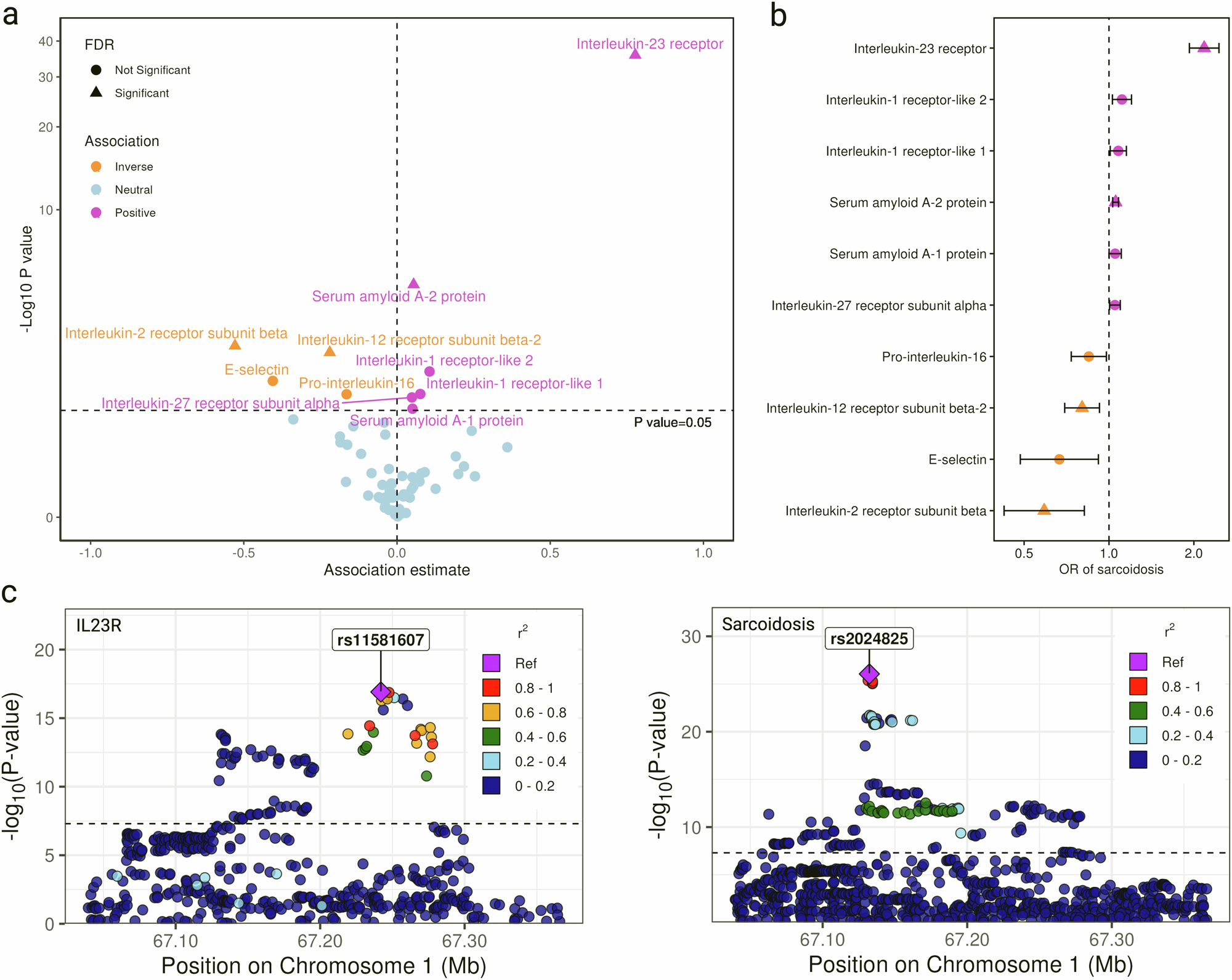 Fig. 3: Associations between genetically predicted levels of 65 inflammatory markers and the risk of sarcoidosis in Mendelian randomization (MR) analysis.