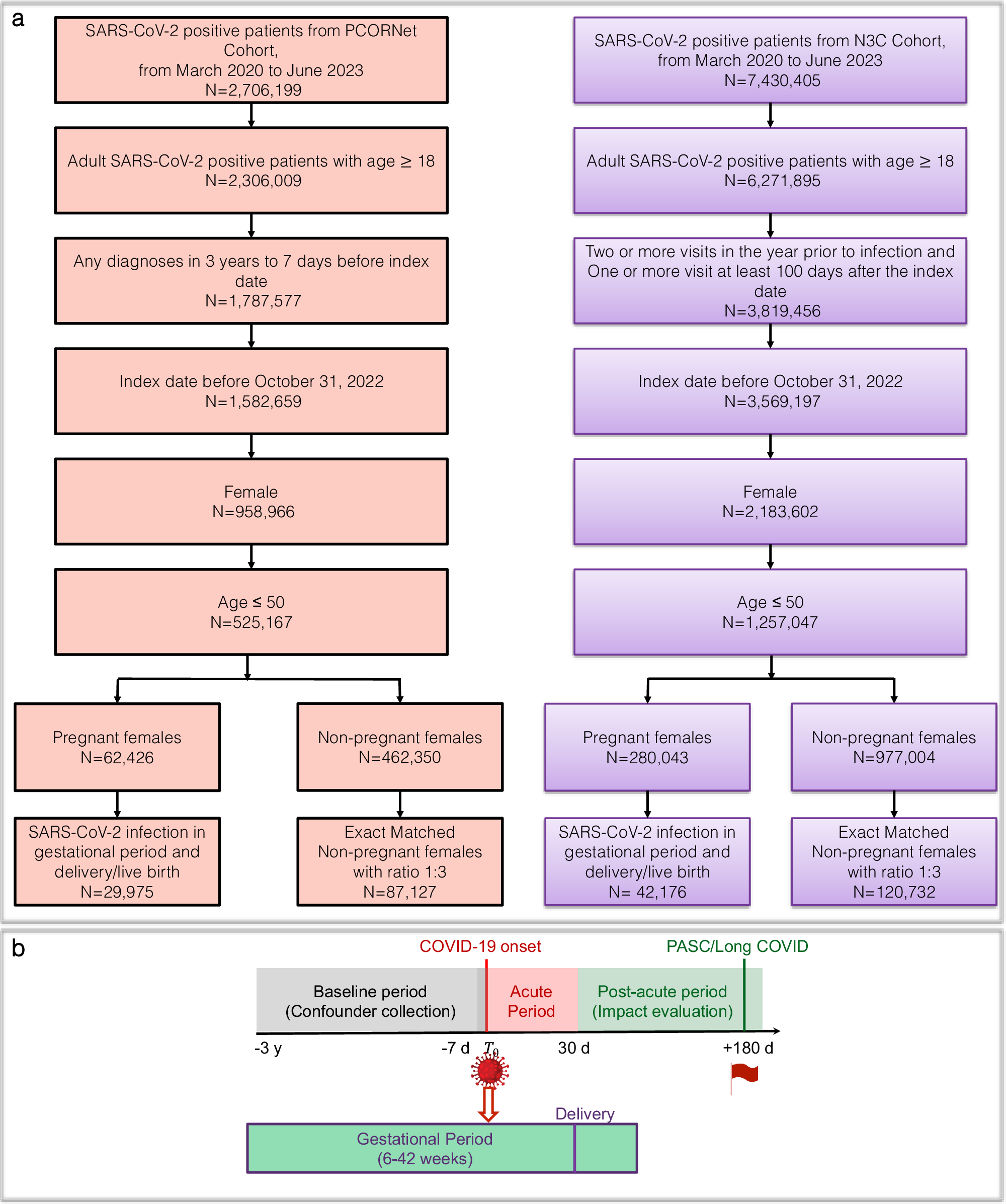 Fig. 1: Cohort selection.