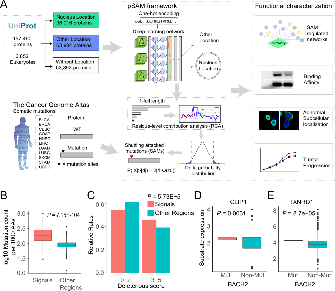 Fig. 1: Study overview.