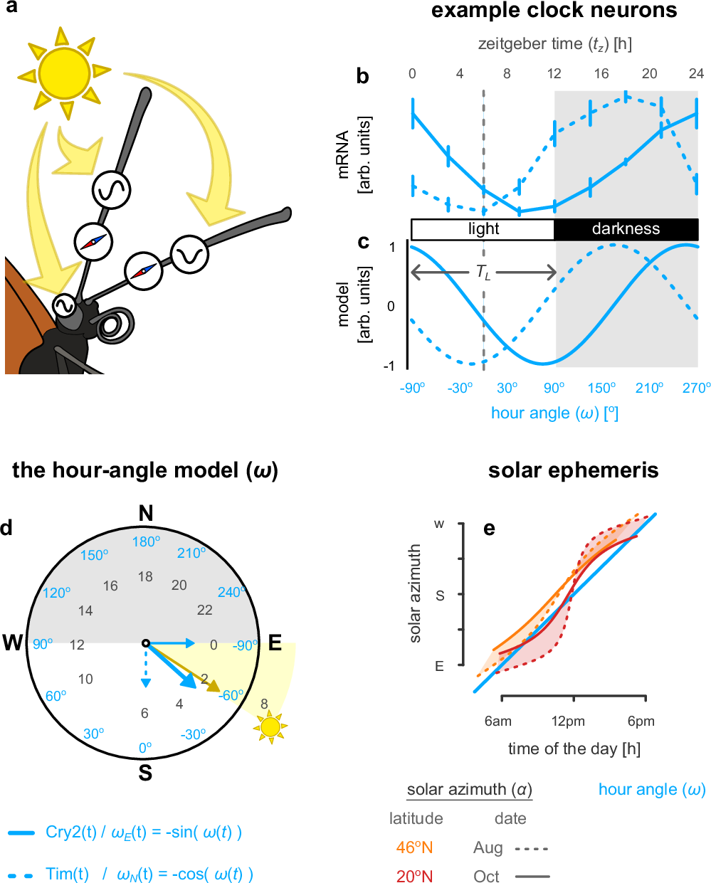 Testimonials | Dream Finders Homes, image size:999x1241