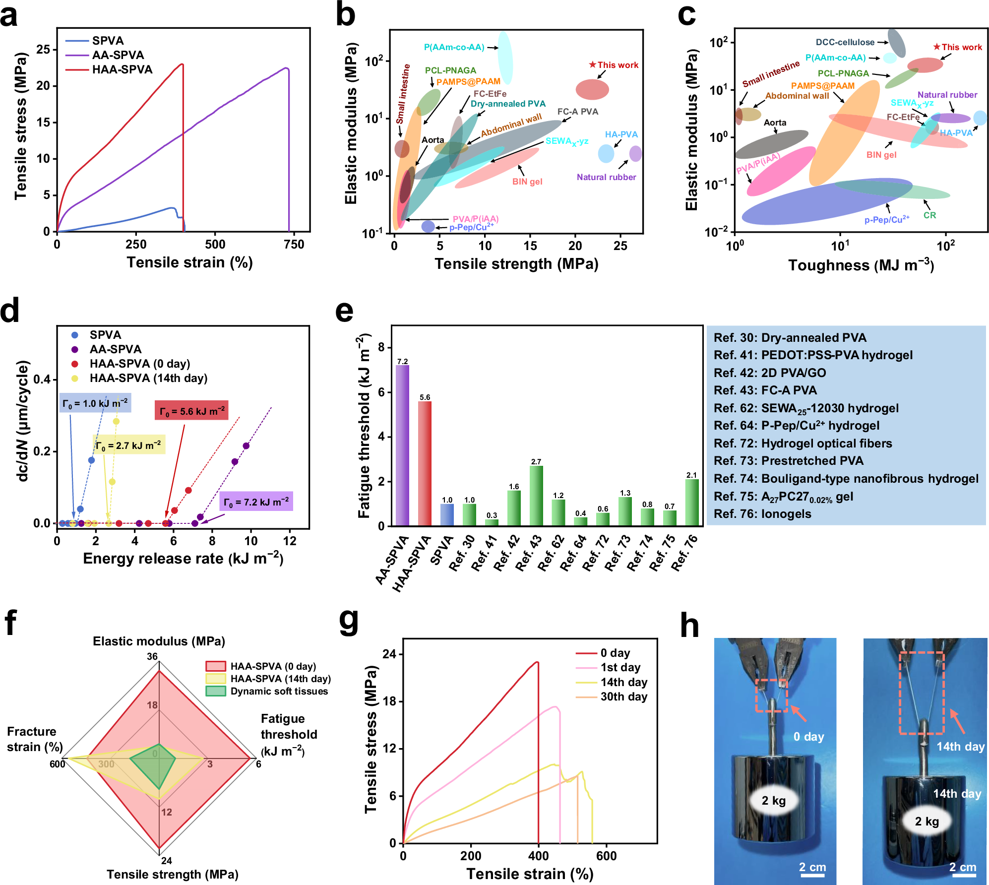 Fig. 3: Biomechanical performances of SPVA, AA-SPVA, and HAA-SPVA hydrogels.